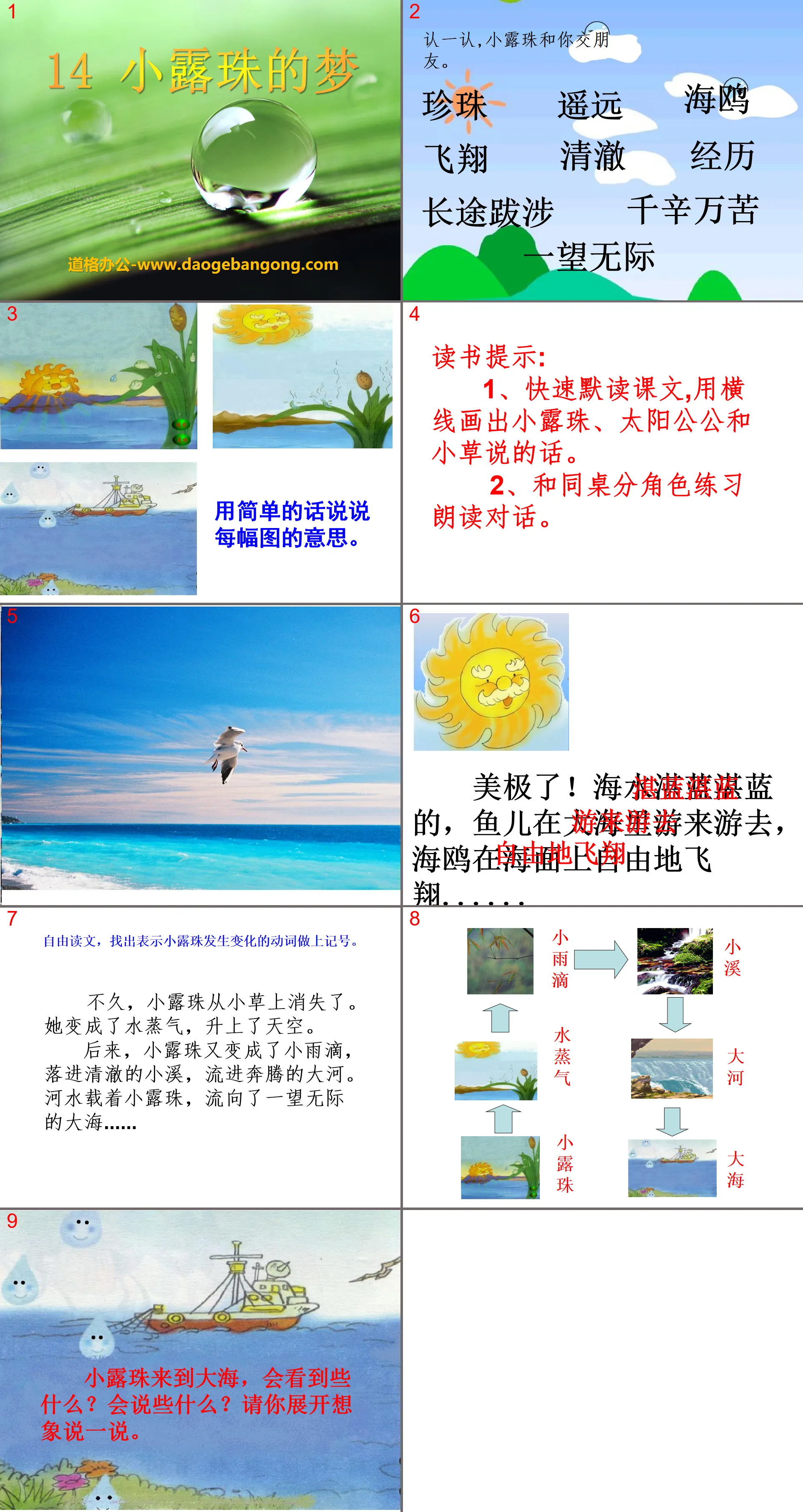 《小露珠的梦》PPT课件2
