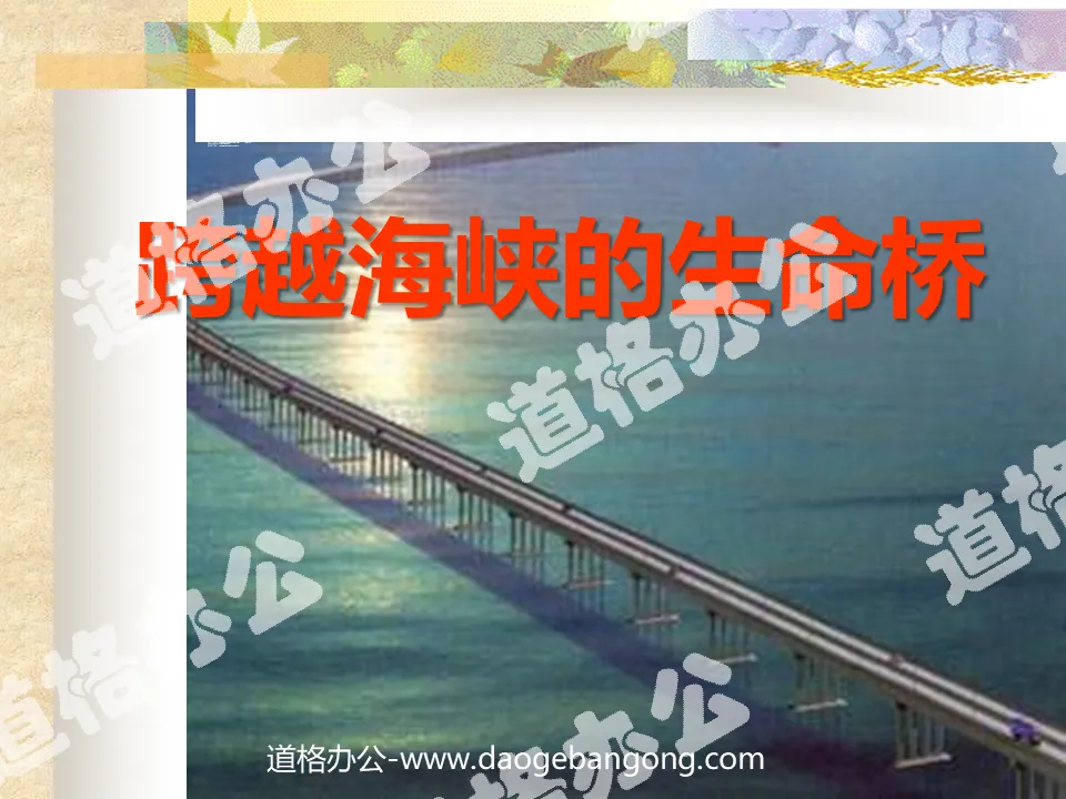 "The Bridge of Life Across the Straits" PPT courseware download 3