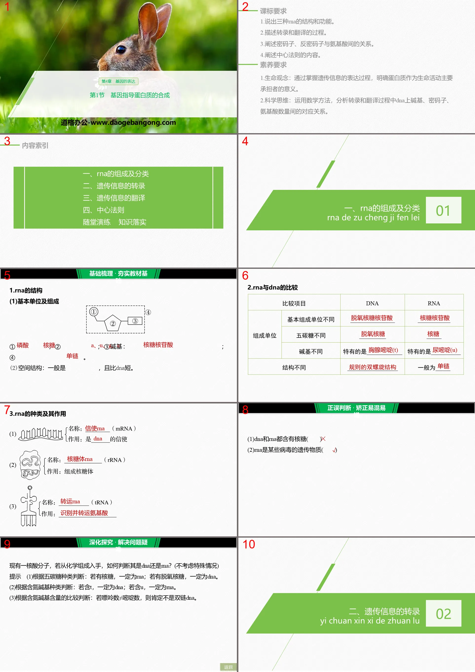 "Genes Direct Protein Synthesis" Gene Expression PPT