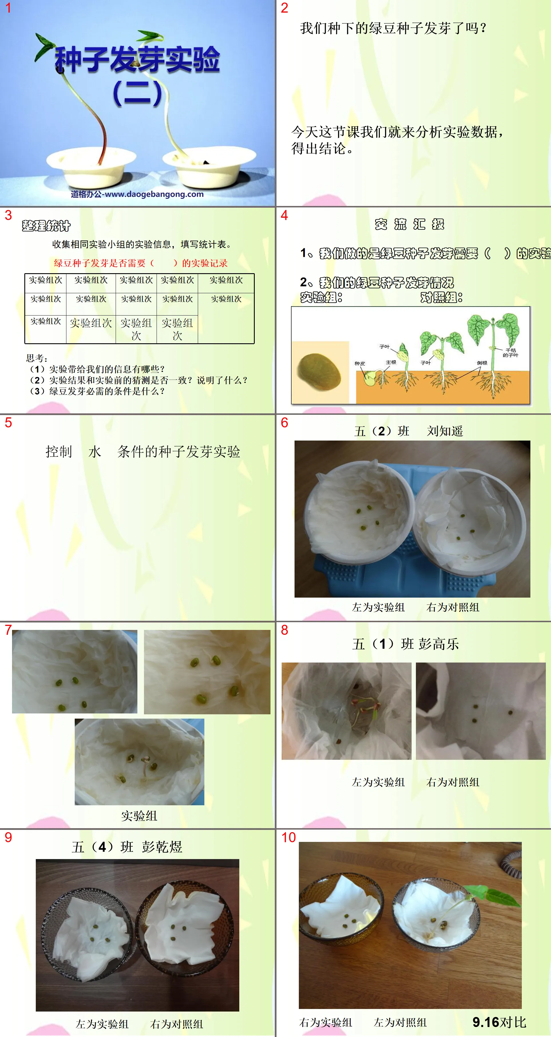 "Seed Germination Experiment (2)" Biology and Environment PPT Courseware