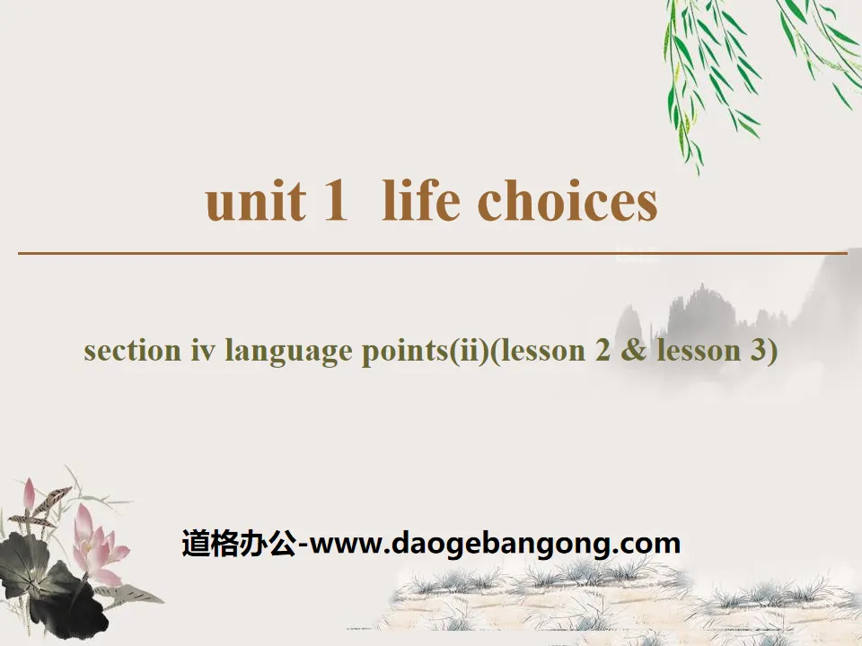 《Life Choices》Section ⅣPPT
