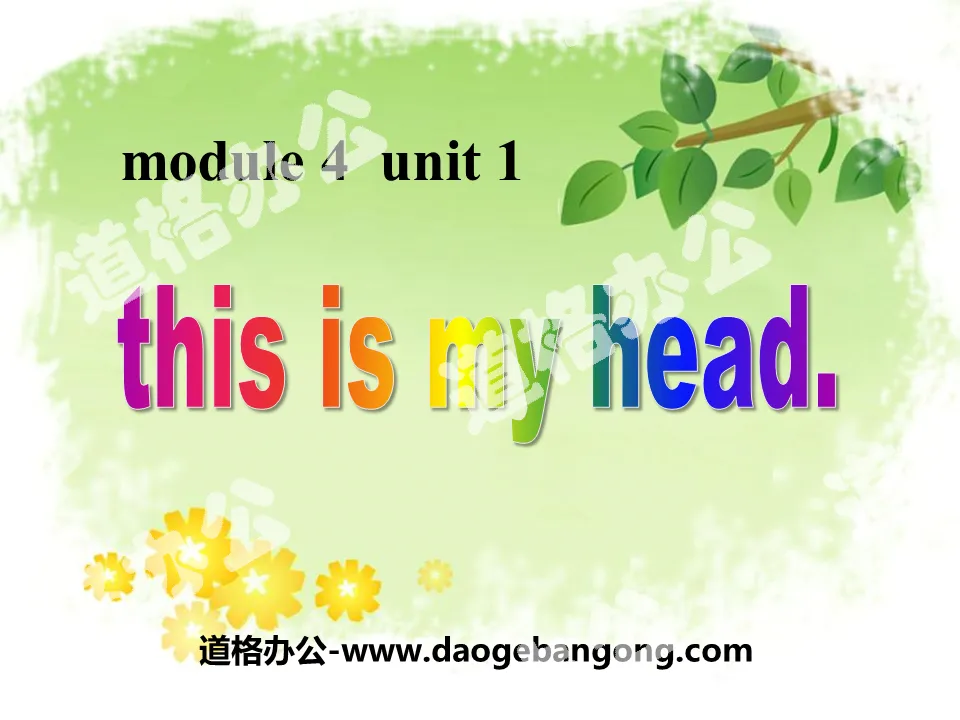 "This is my head" PPT courseware 4