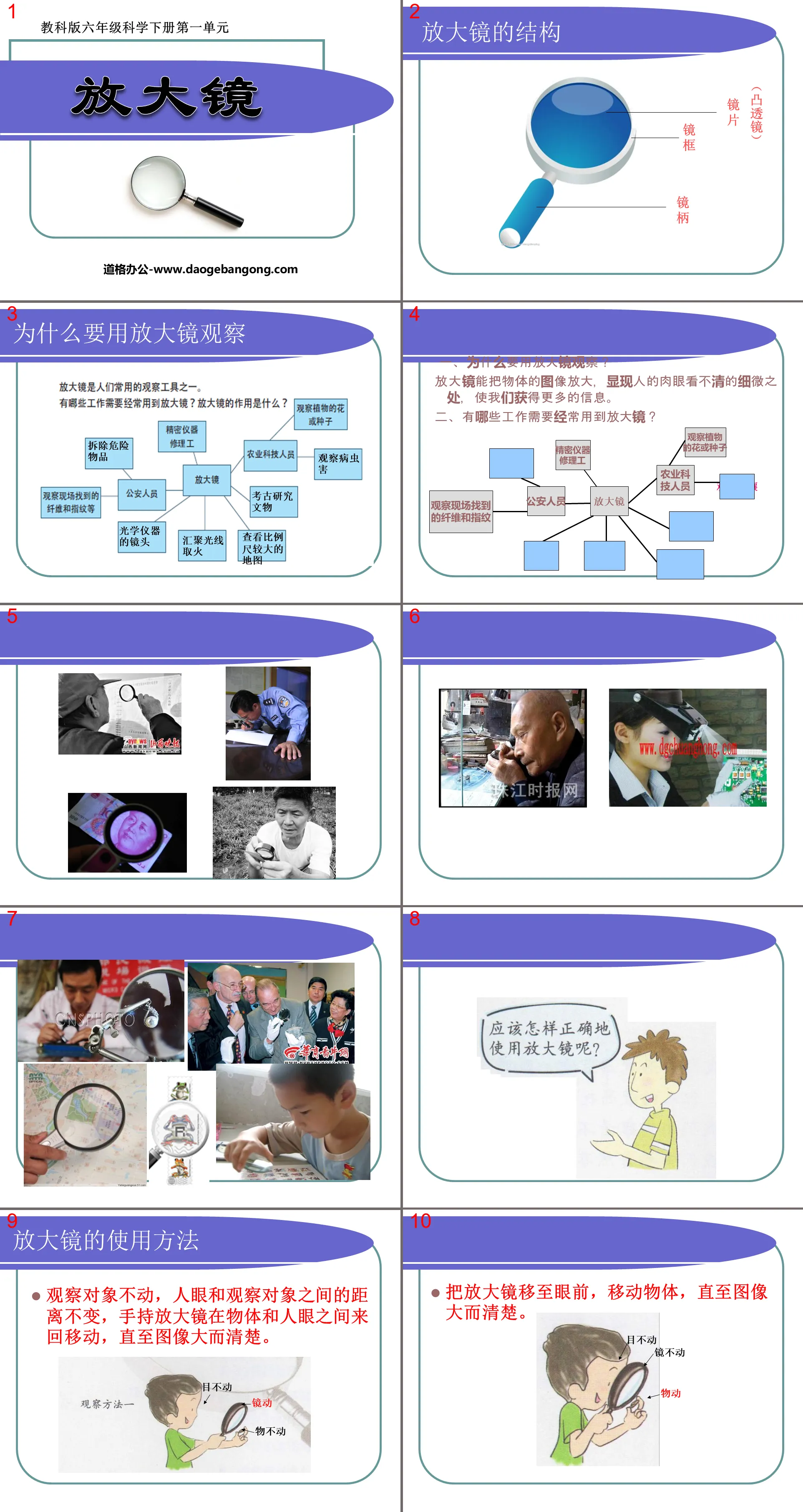 《放大鏡》微小世界PPT課件4