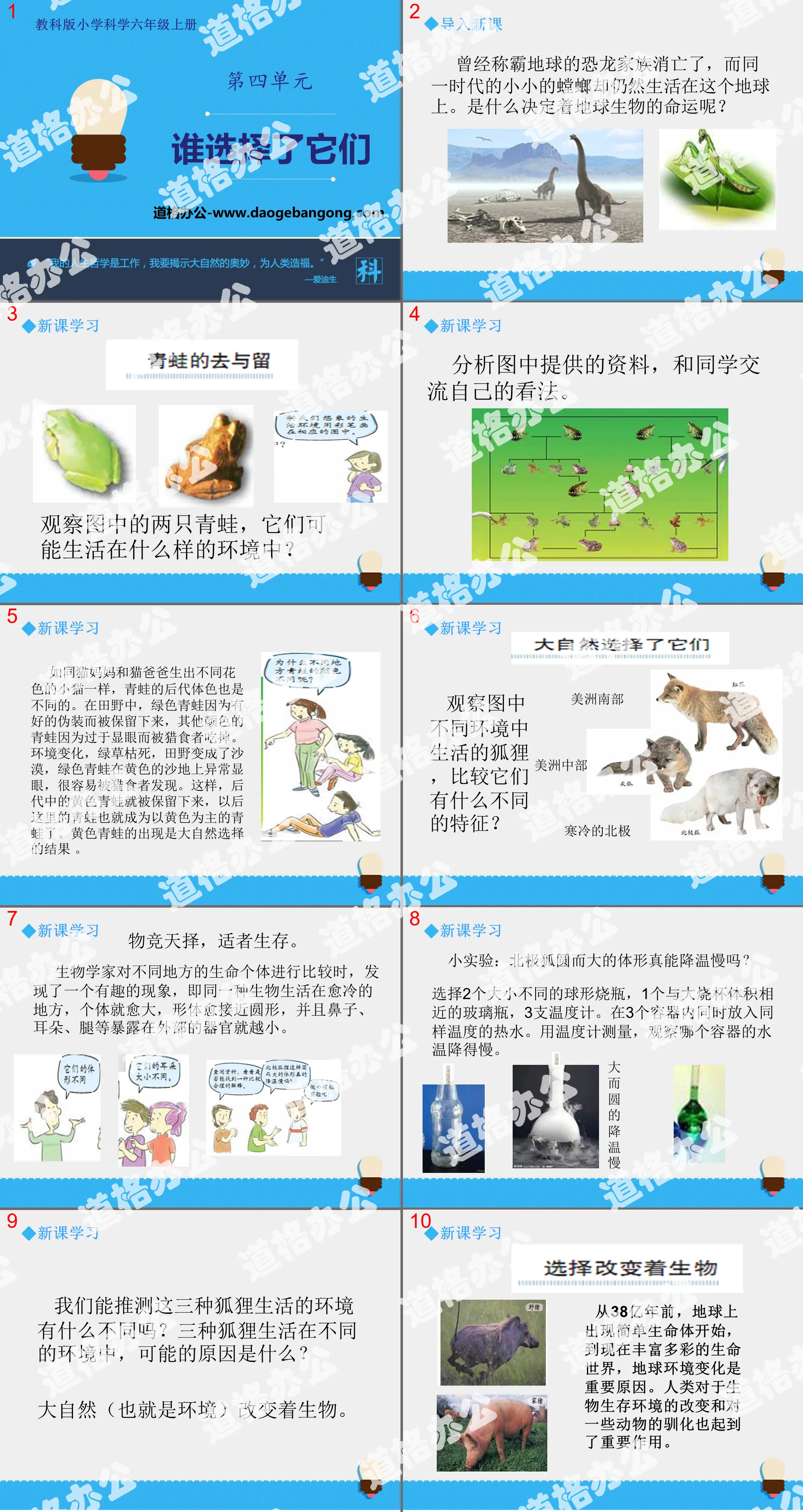 《谁选择了它们》生物的多样性PPT教学课件
