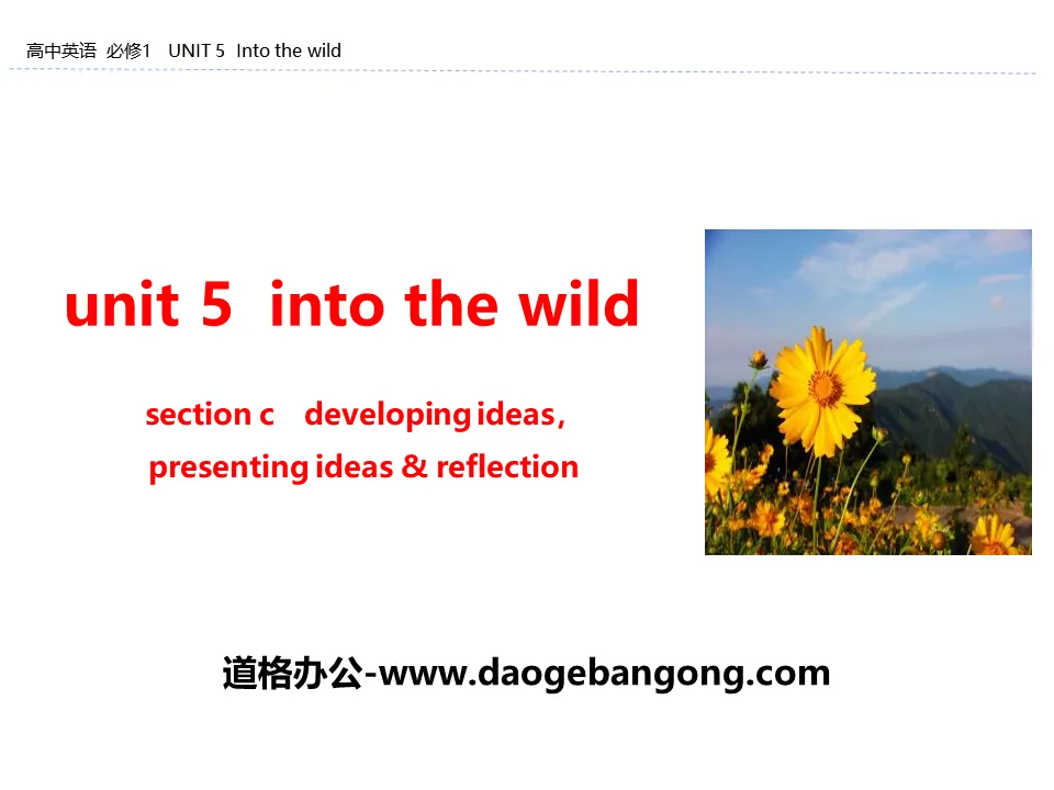 《Into the wild》Section C PPT
