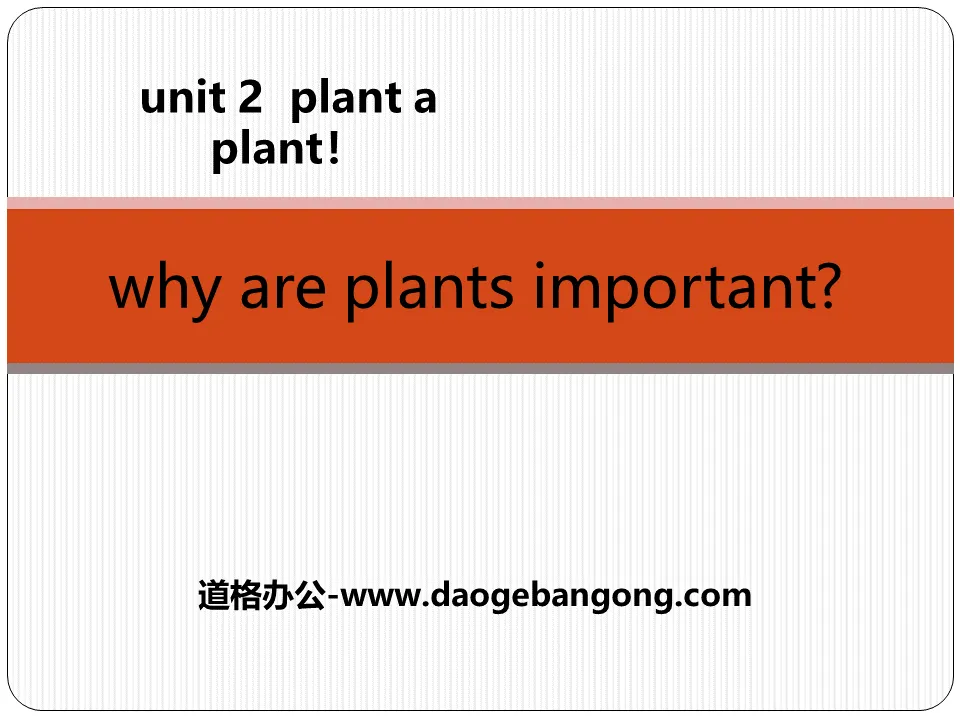 《Why Are Plants Important?》Plant a Plant PPT免費課程