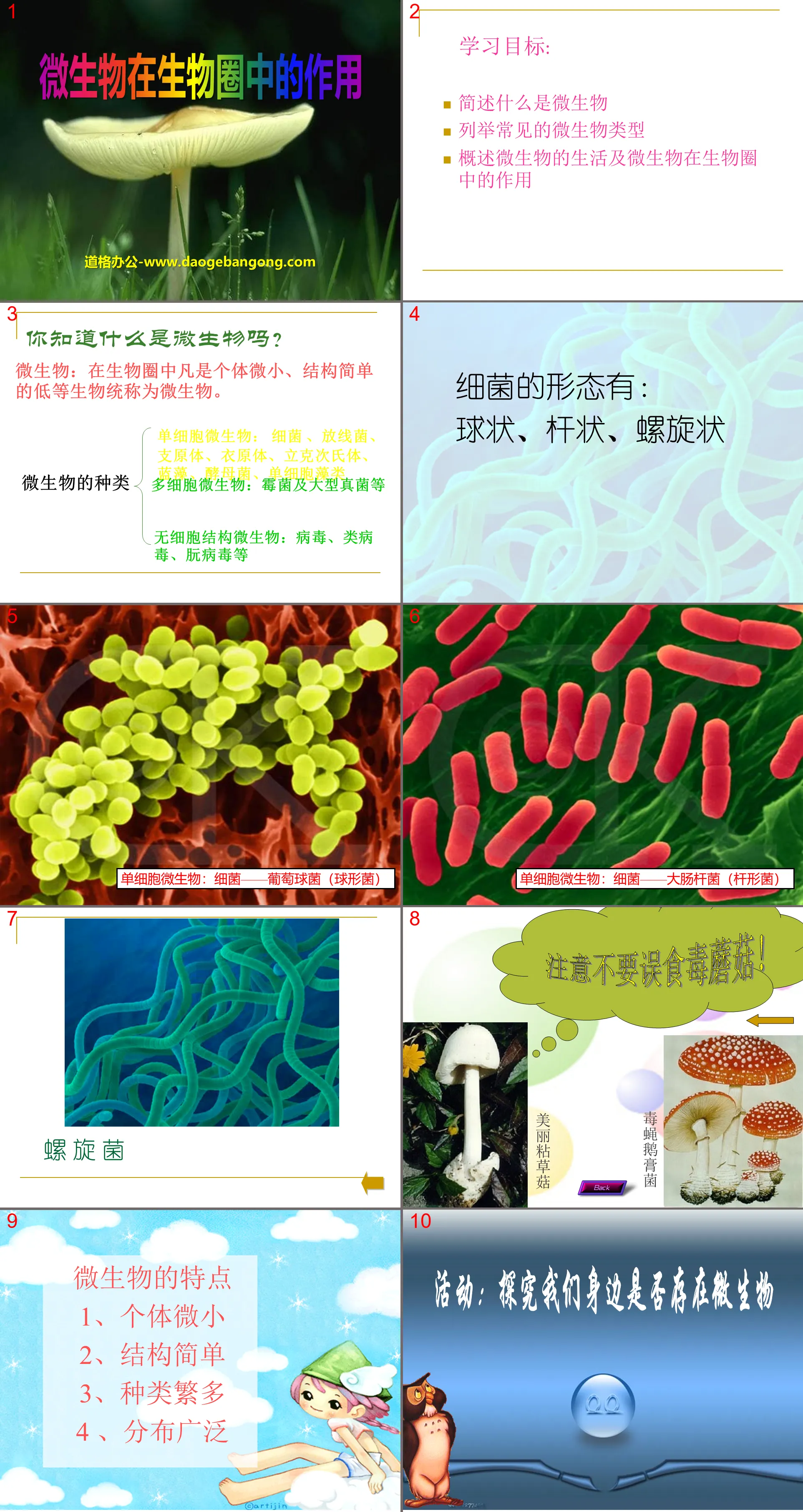 《微生物在生物圈中的作用》PPT