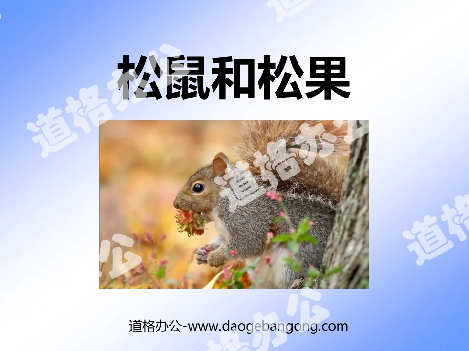 "Squirrel and Pine Cone" PPT Courseware 5