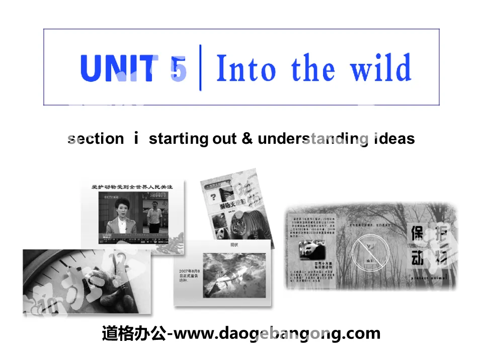 "Into the wild" Section Ⅰ PPT courseware