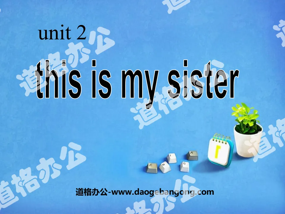 《This is my sister》PPT课件5
