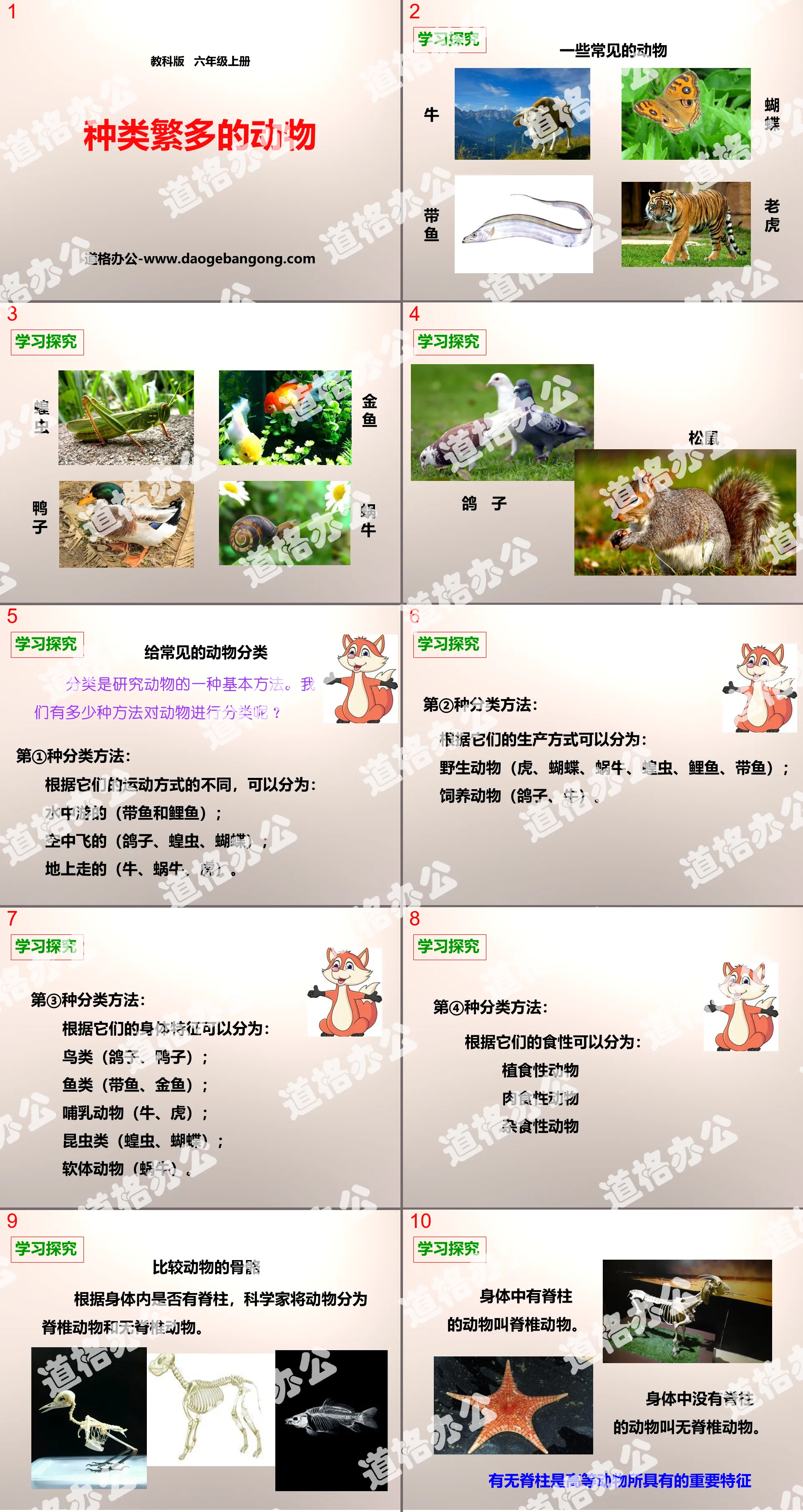 "Various Kinds of Animals" Biological Diversity PPT