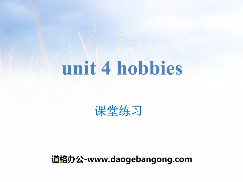 《Hobbies》課堂練習PPT