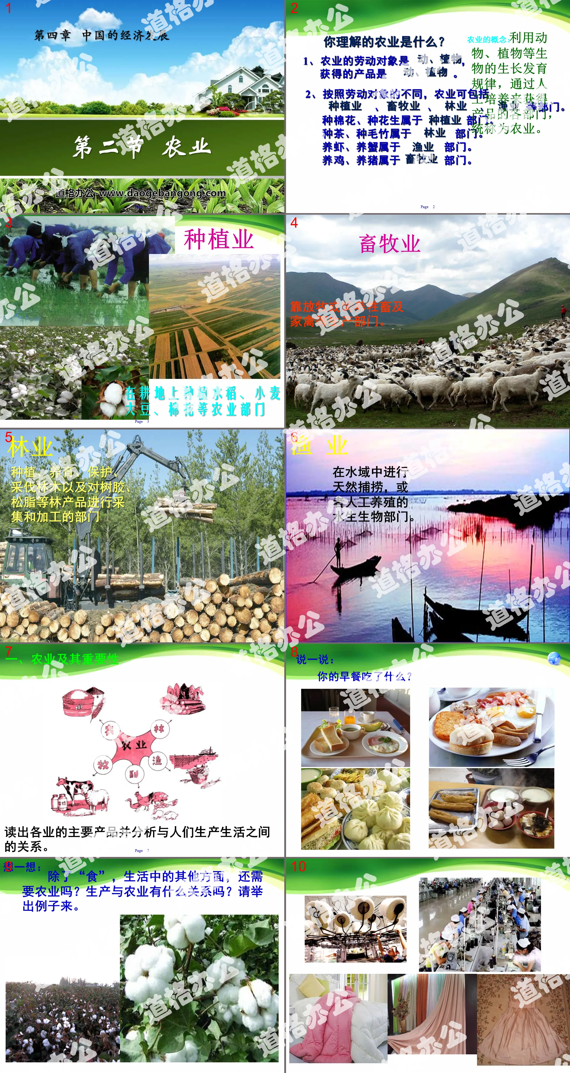 《农业》中国的经济发展PPT课件5
