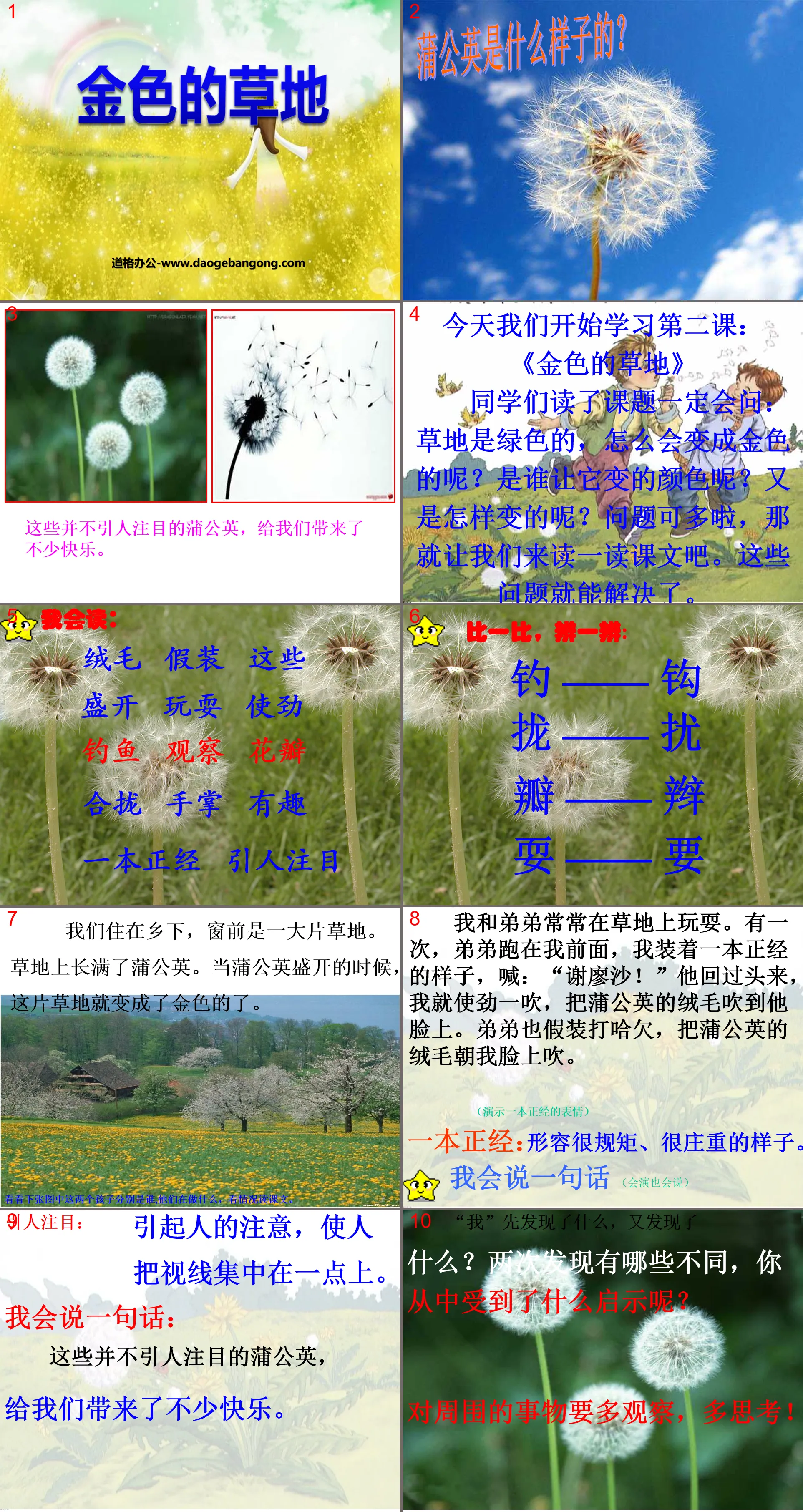 《金色的草地》PPT課件3