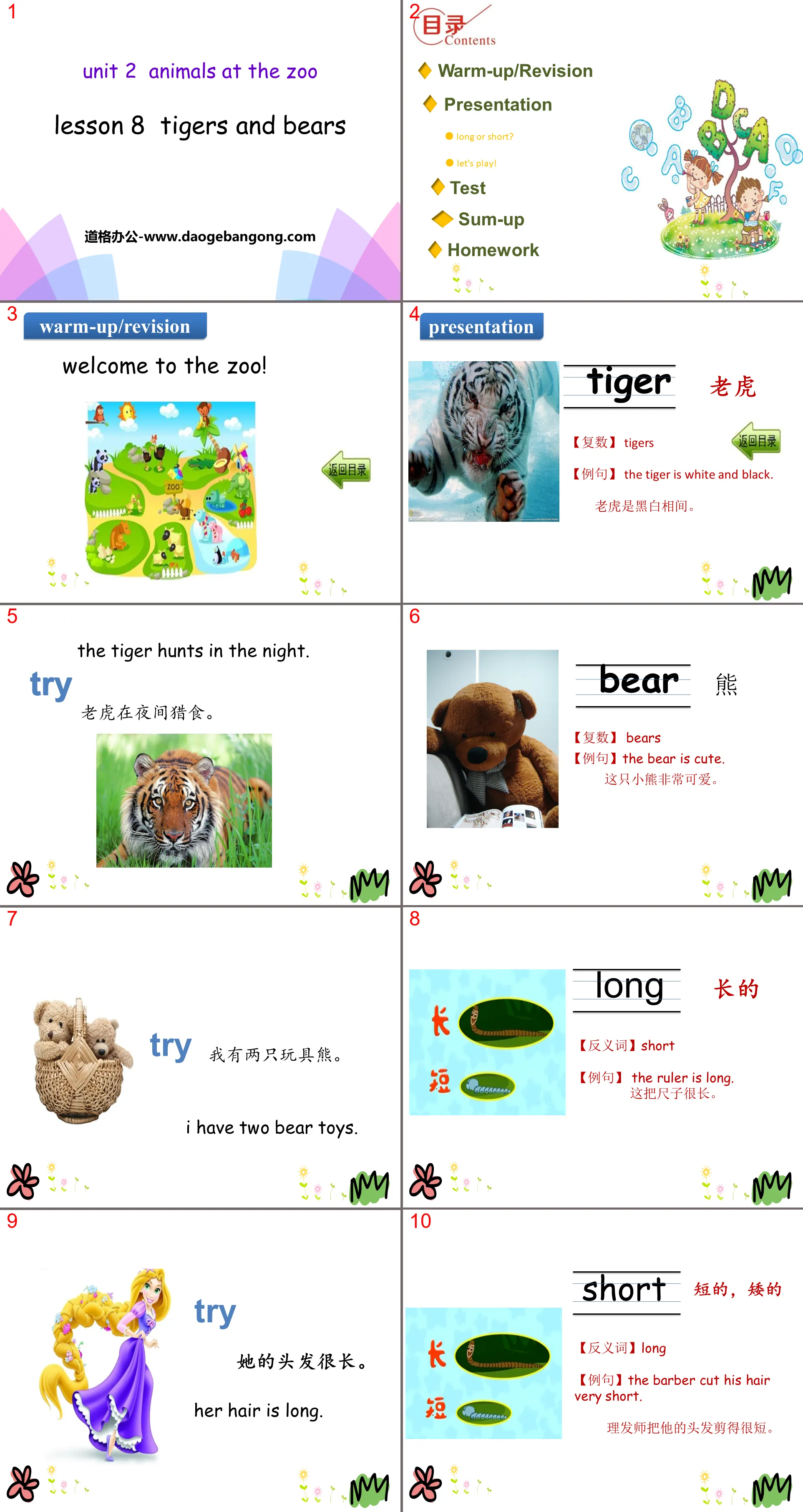 《Tigers and Bears》Animals at the zoo PPT课件
