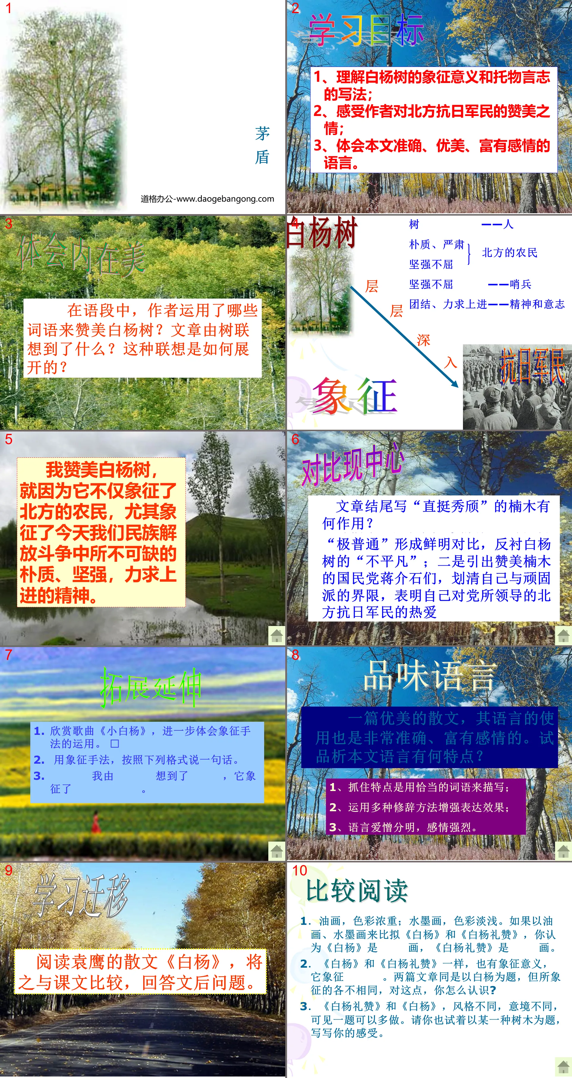 《白杨礼赞》PPT课件8
