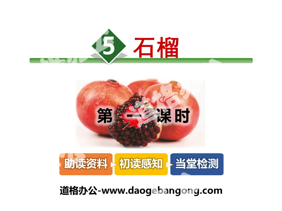 "Pomegranate" PPT download
