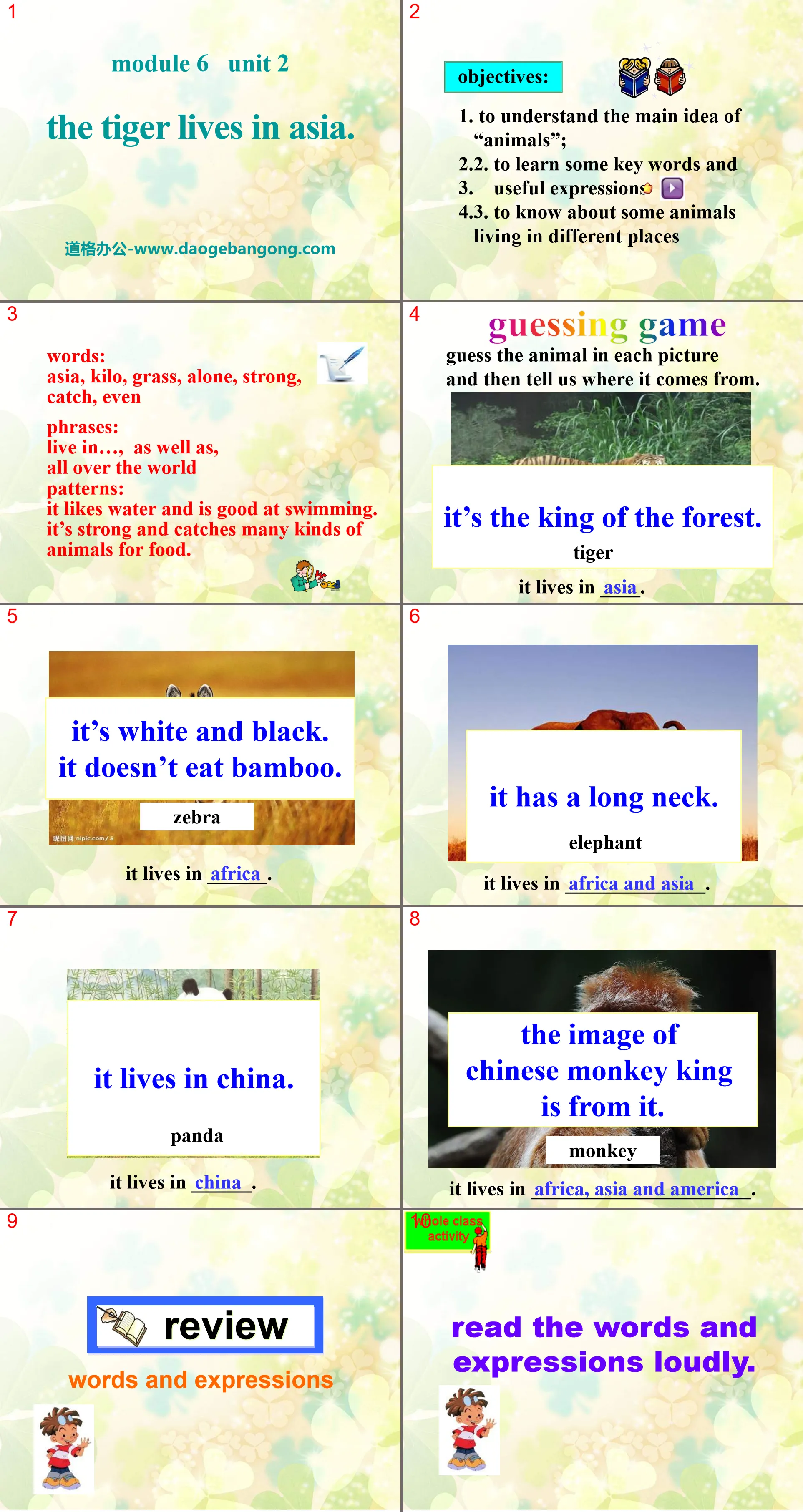 "The tiger lives in Asia" PPT courseware 4