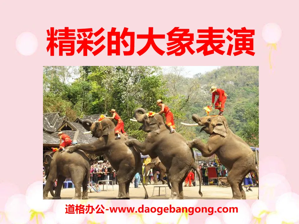 "Wonderful Elephant Performance" PPT courseware 3