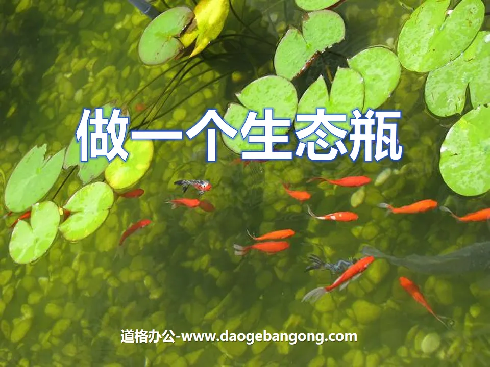 《做一個生態瓶》生物與環境PPT課件3