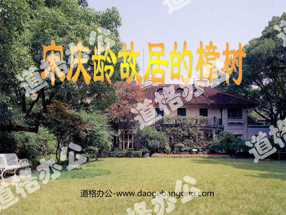 "The Camphor Tree in Soong Ching Ling's Former Residence" PPT Courseware 5