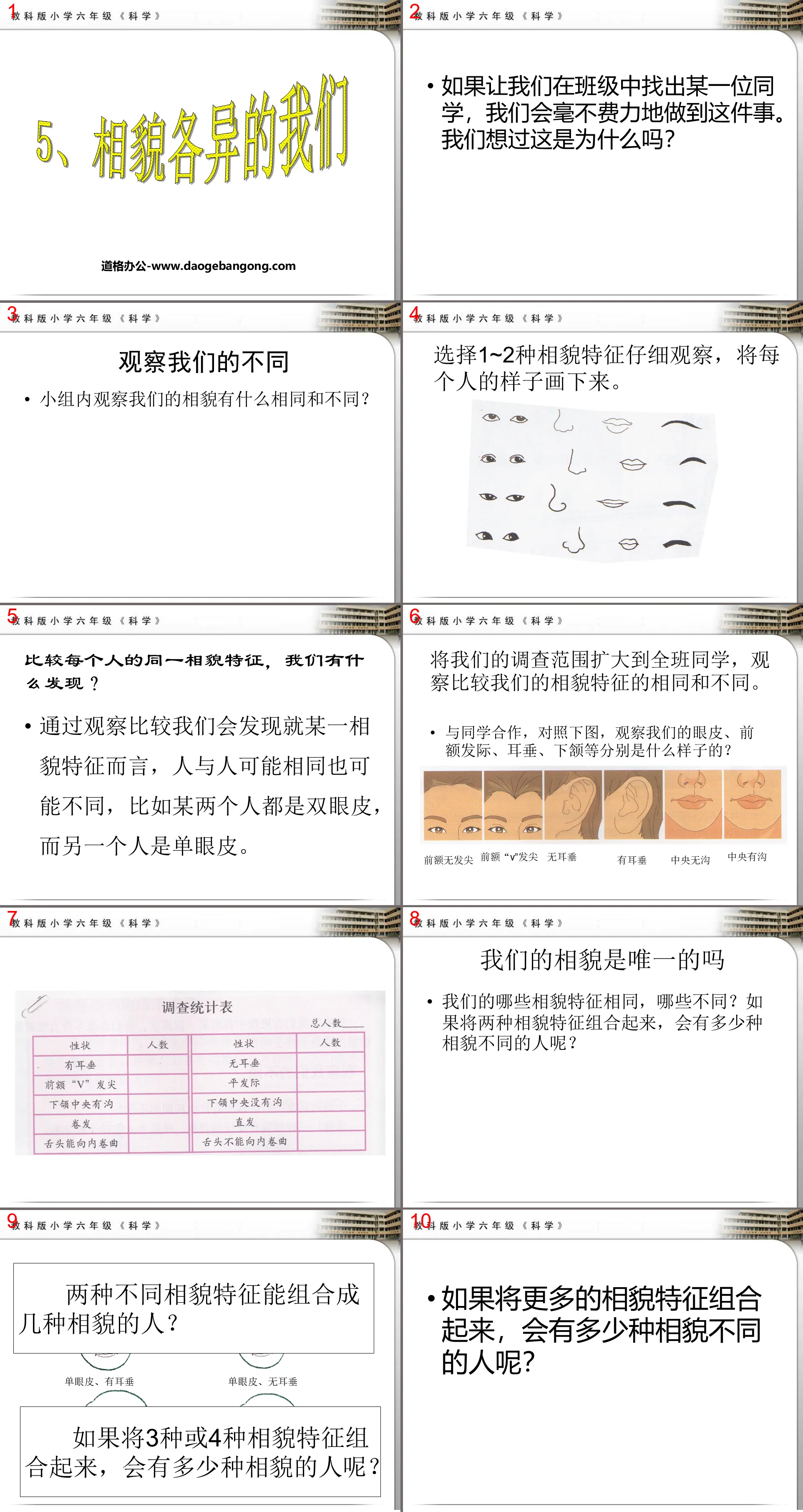 《相貌各異的我們》生物的多樣性PPT課件