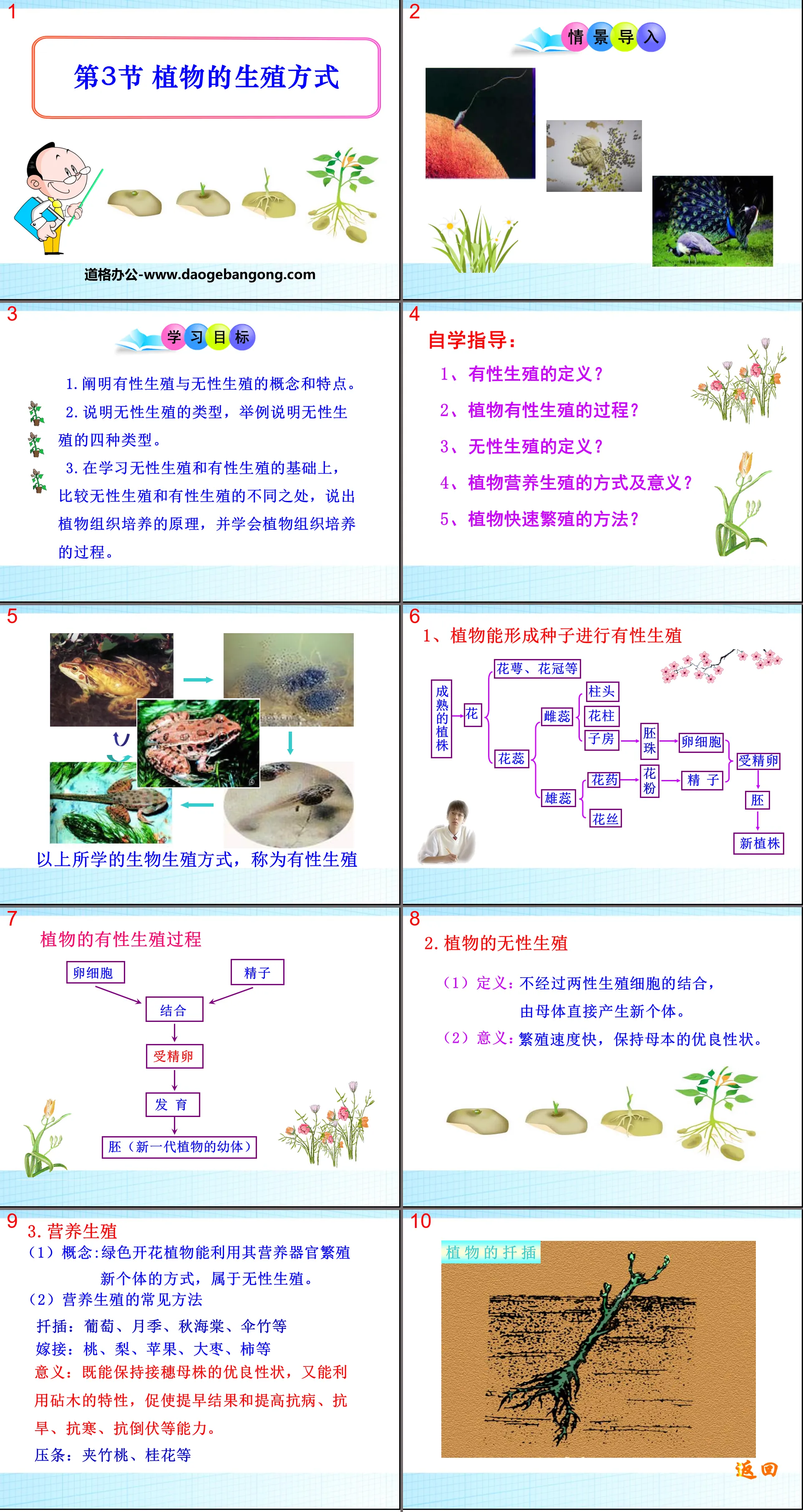 《植物的生殖方式》PPT