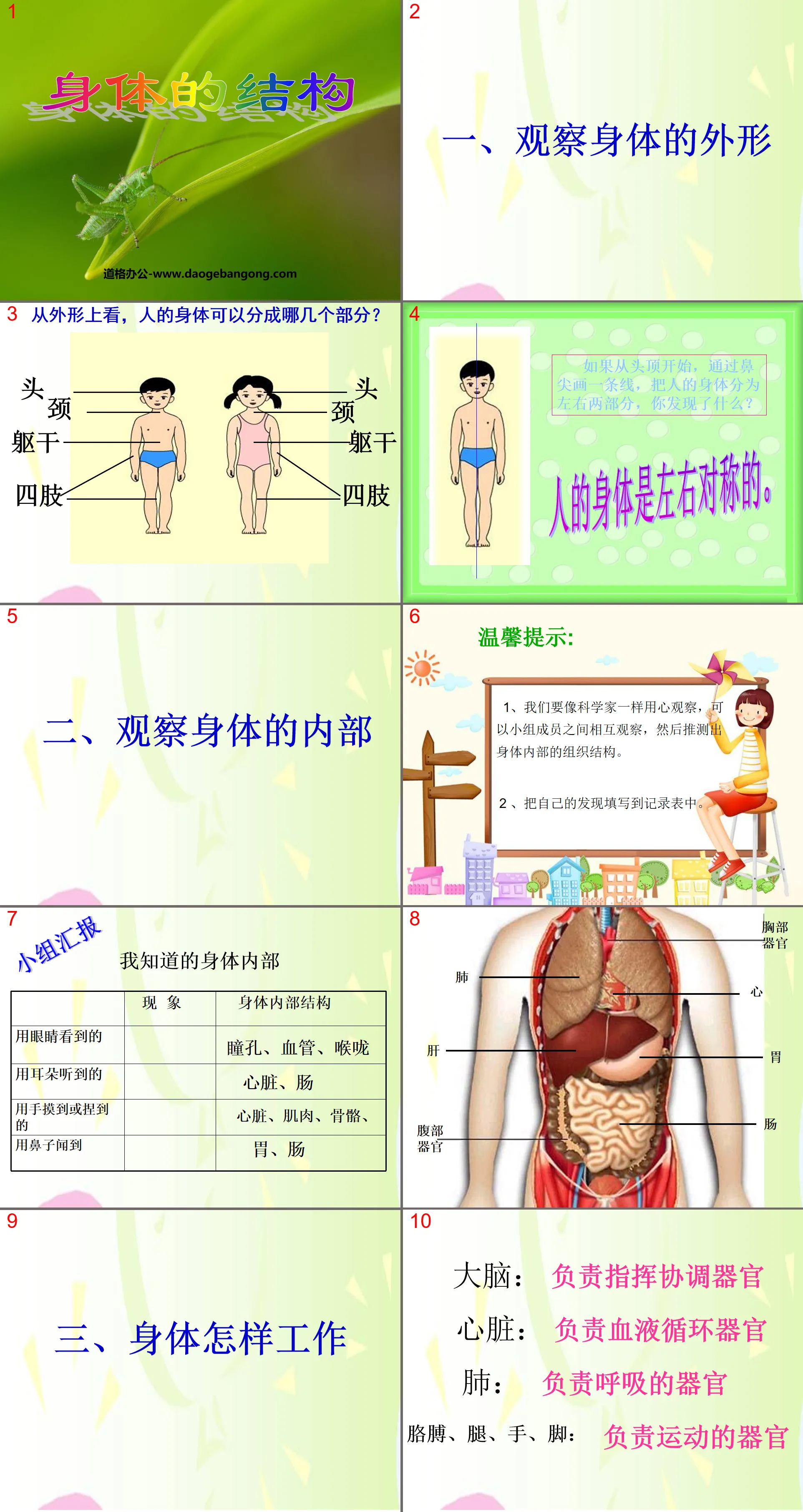 《身體的結構》我們的身體PPT課件3