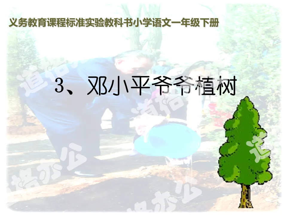 "Grandpa Deng Xiaoping Planting Trees" PPT