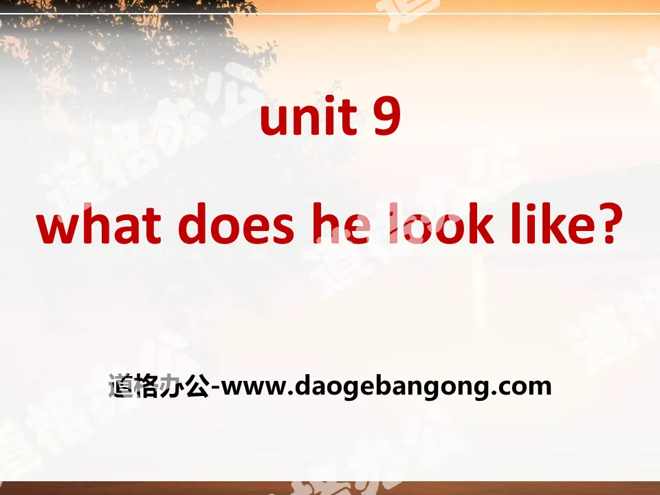 "What does he look like?" PPT courseware 10