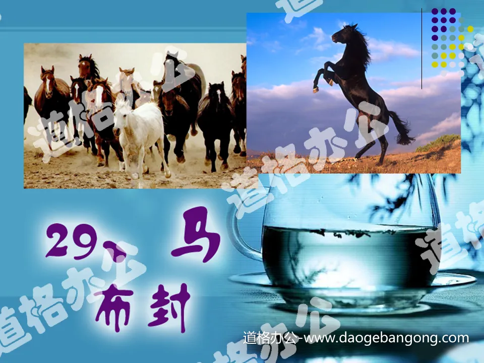 "Horse" PPT courseware 5