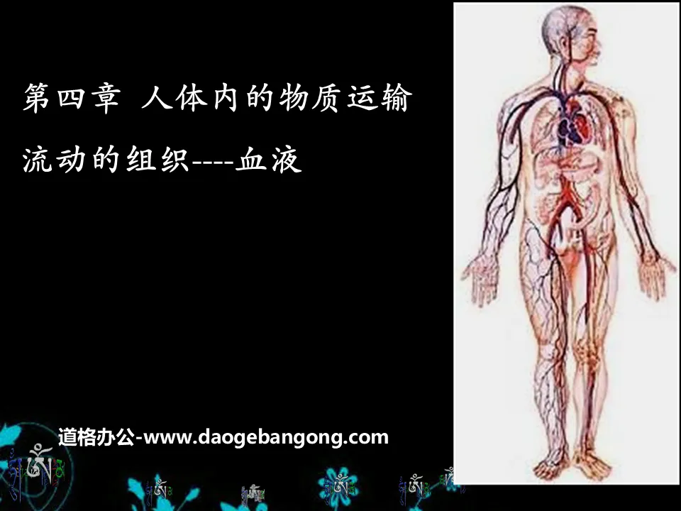 "Flowing Tissue-Blood" Transport of Materials in the Human Body PPT Courseware 5