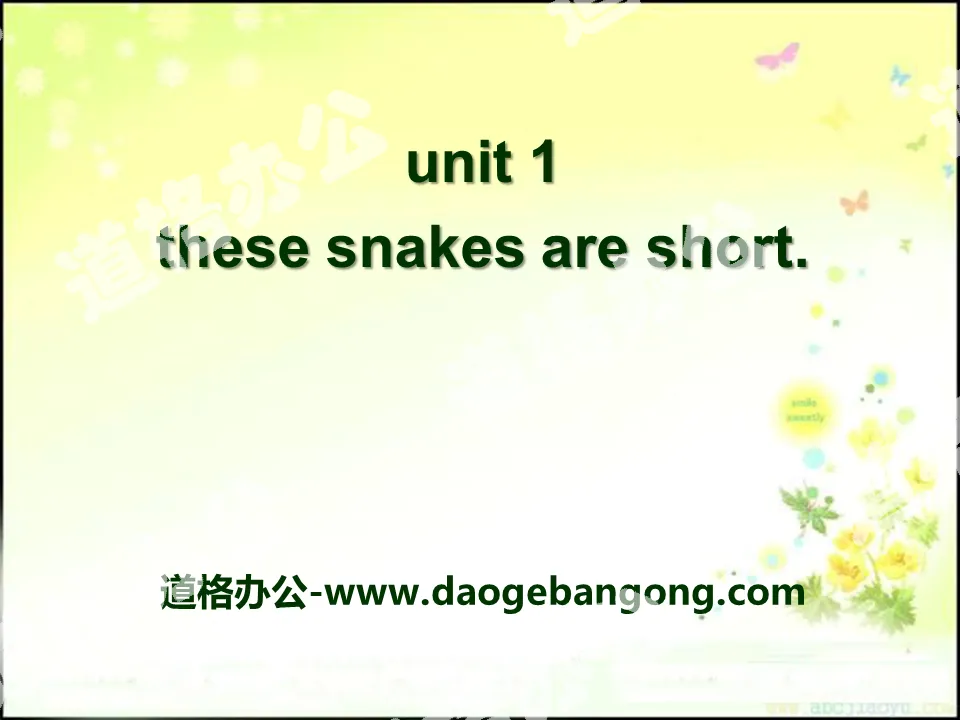 "These snakes are short" PPT courseware 2