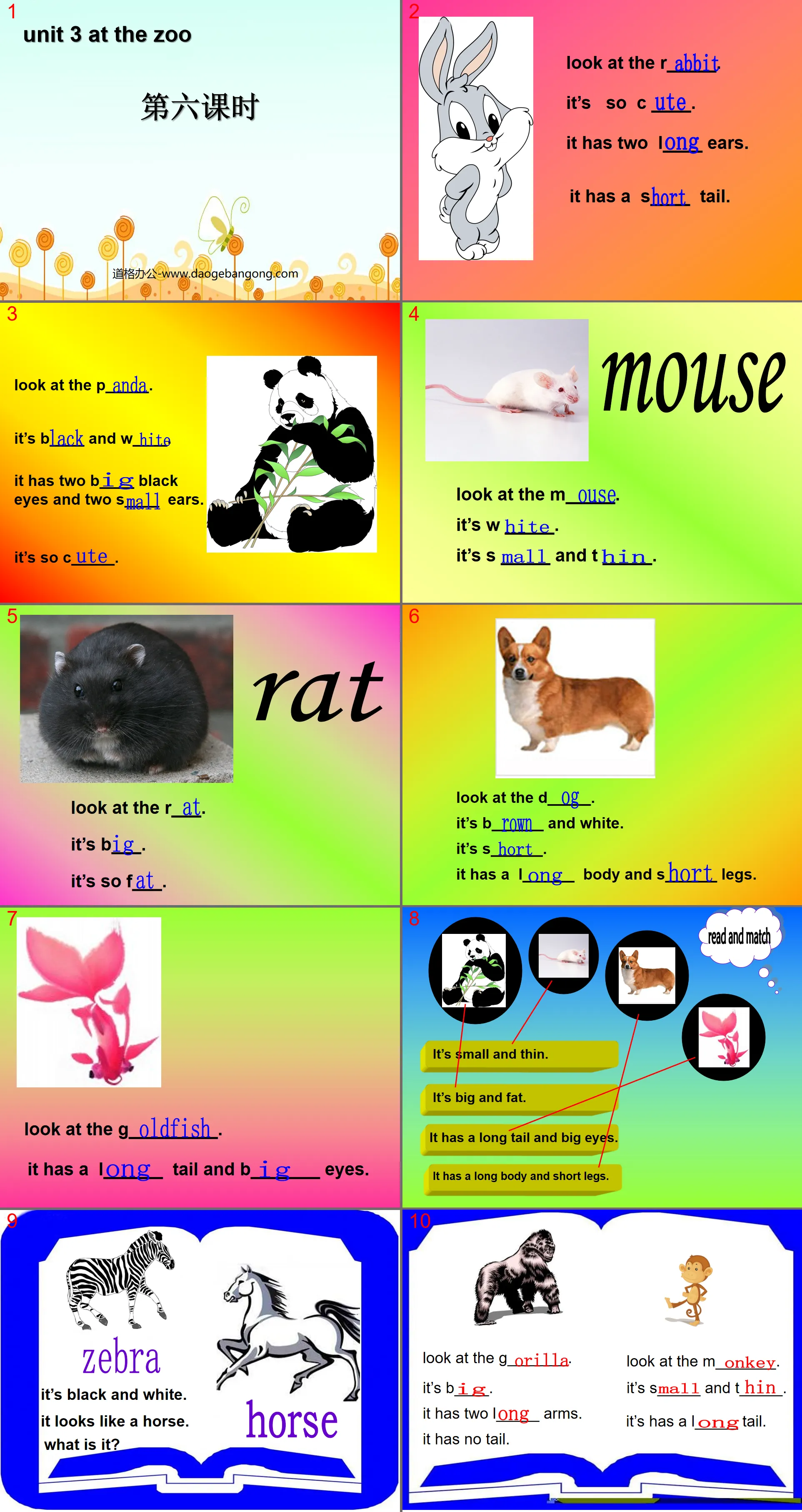 "At the zoo" PPT courseware for the sixth lesson