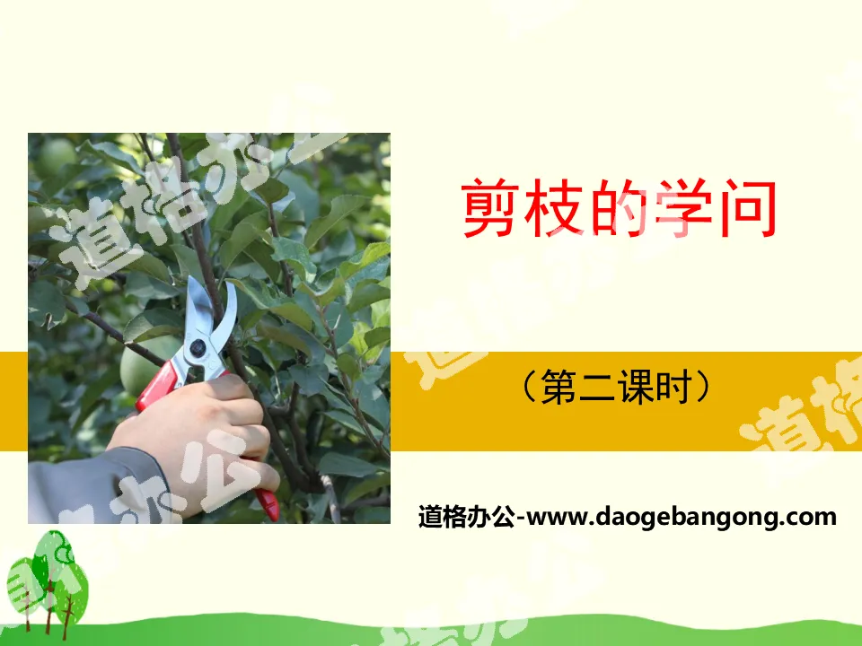 "The Knowledge of Pruning" PPT download