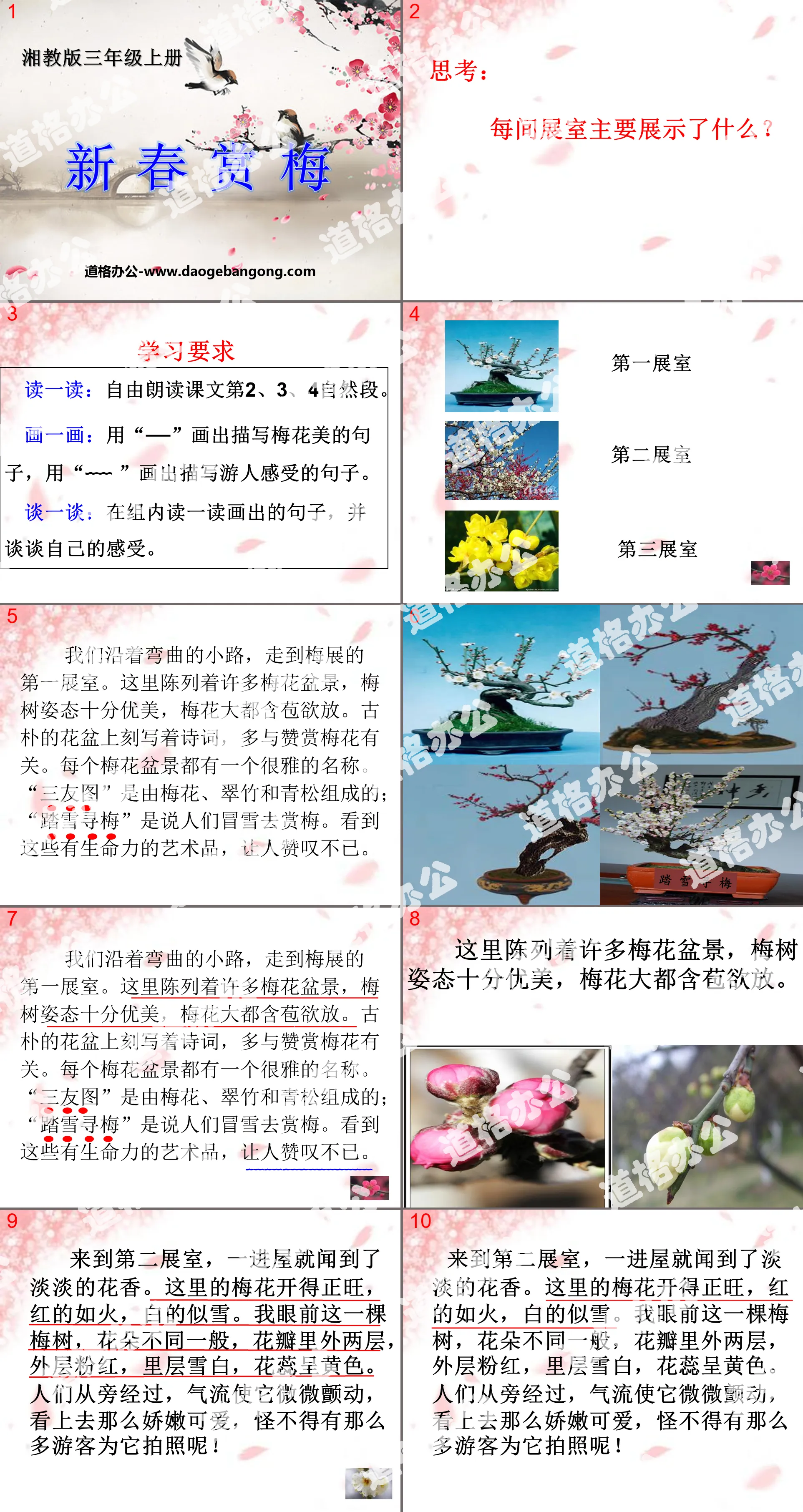 "Appreciating Plum Blossoms in the New Year" PPT Courseware 3