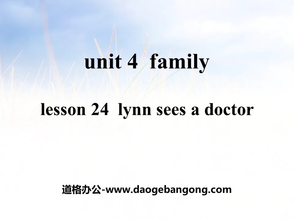 《Lynn Sees a Doctor》Family PPT教学课件