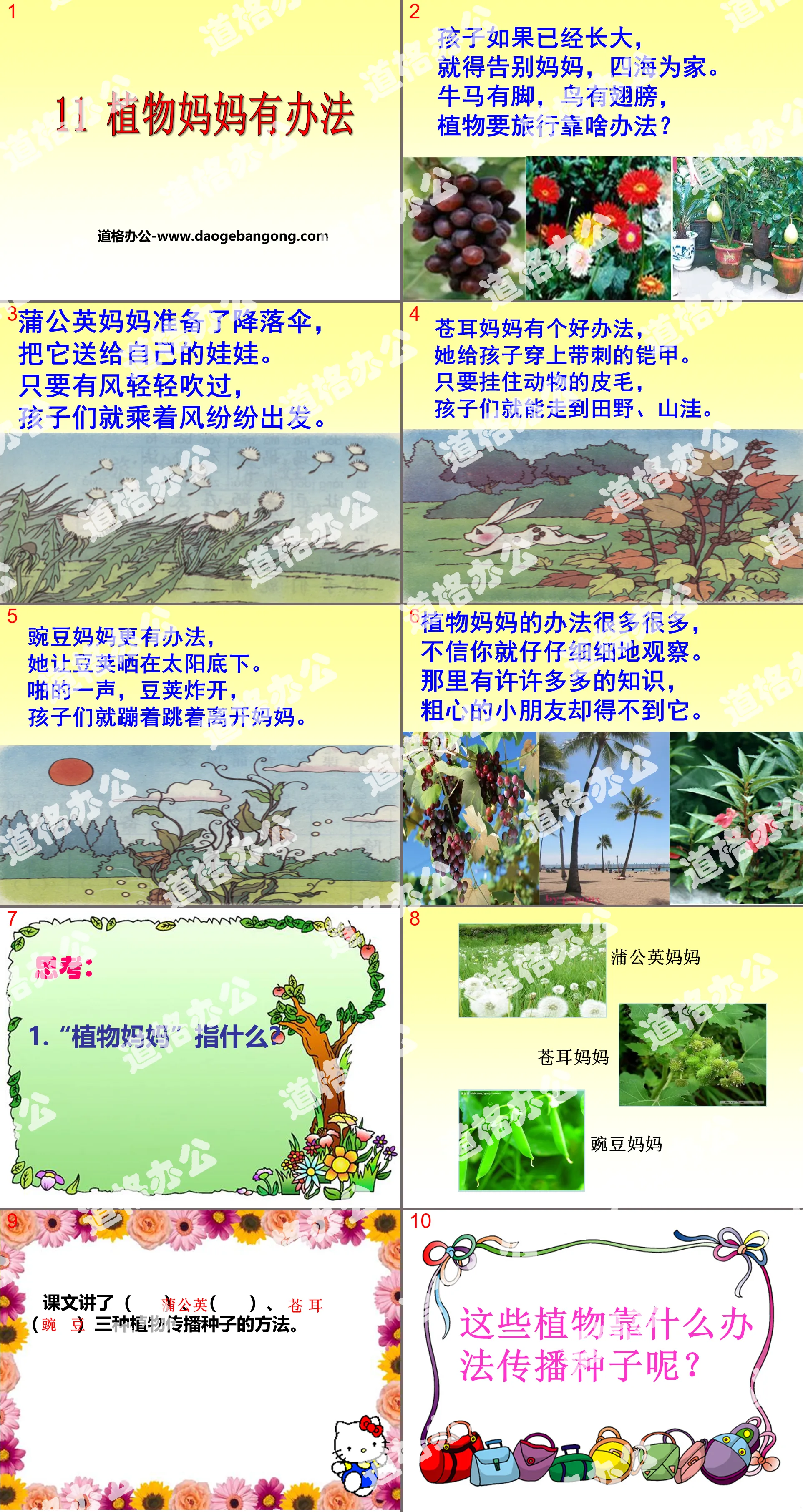 《植物妈妈有办法》PPT课件下载
