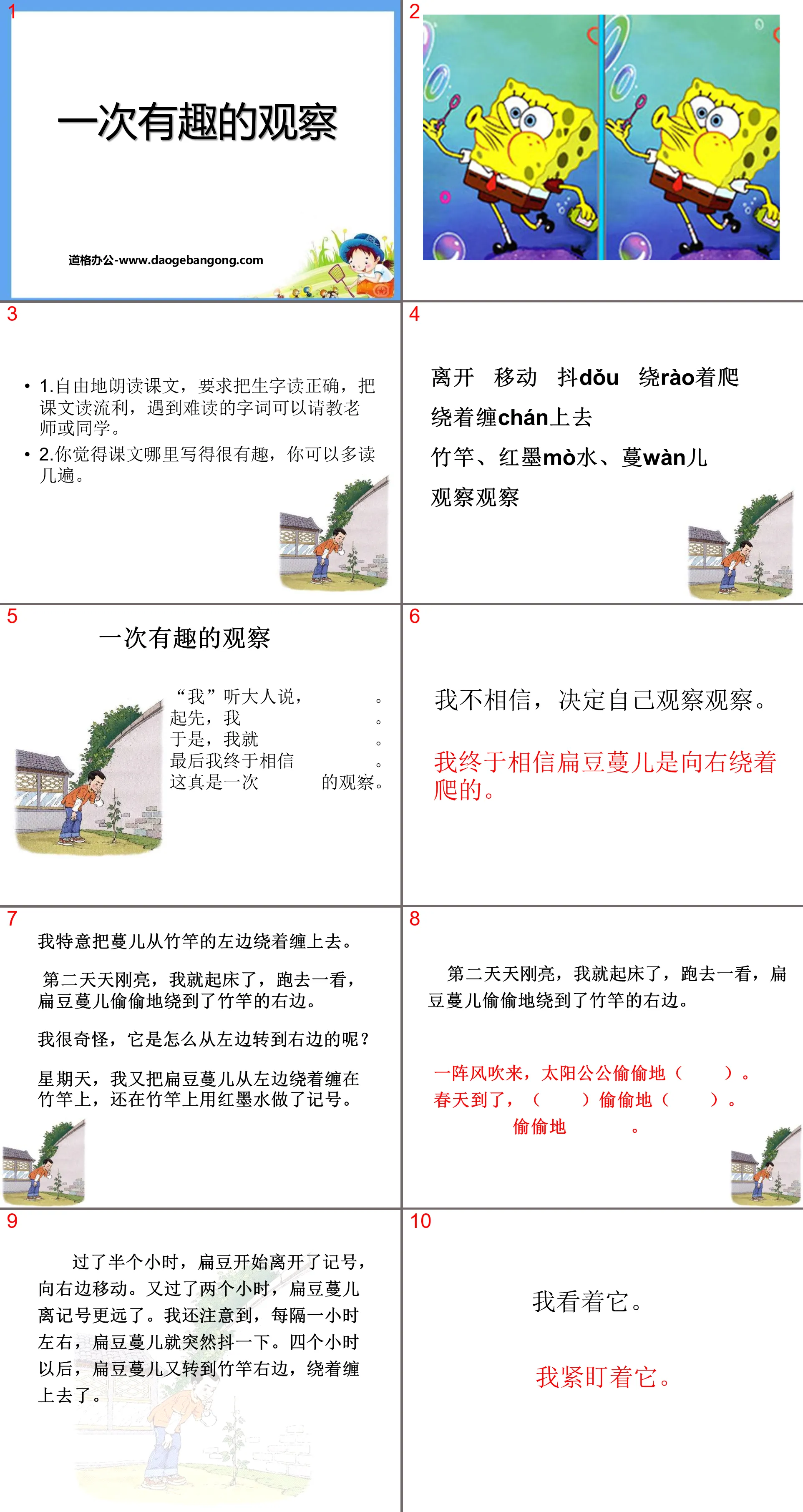 《一次有趣的觀察》PPT課件2