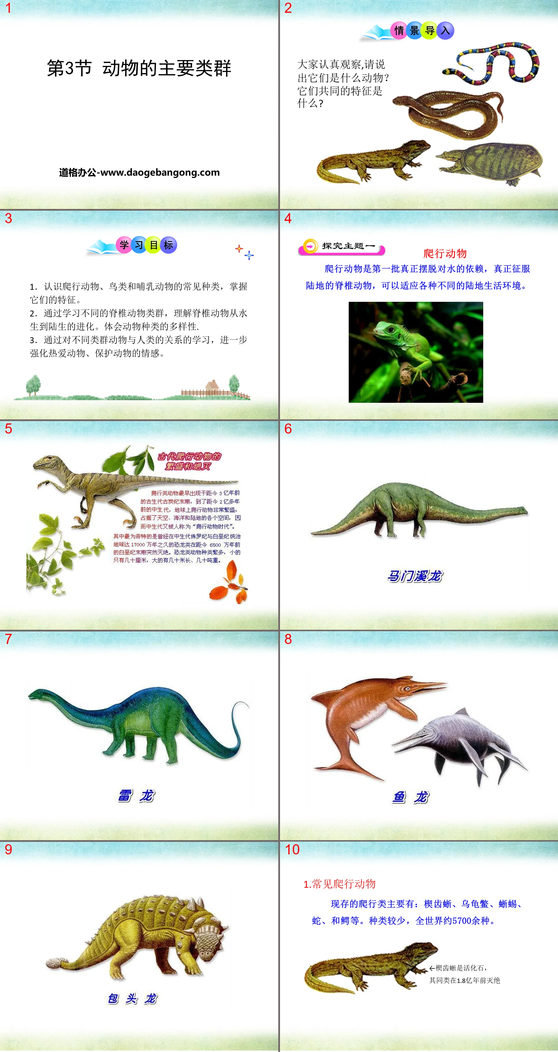 "Main Groups of Animals" PPT courseware download