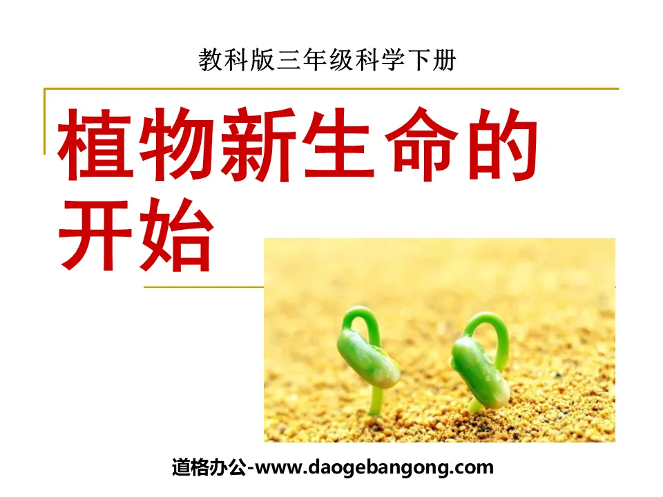 "The Beginning of a New Life in Plants" Growth and Changes of Plants PPT Courseware 3
