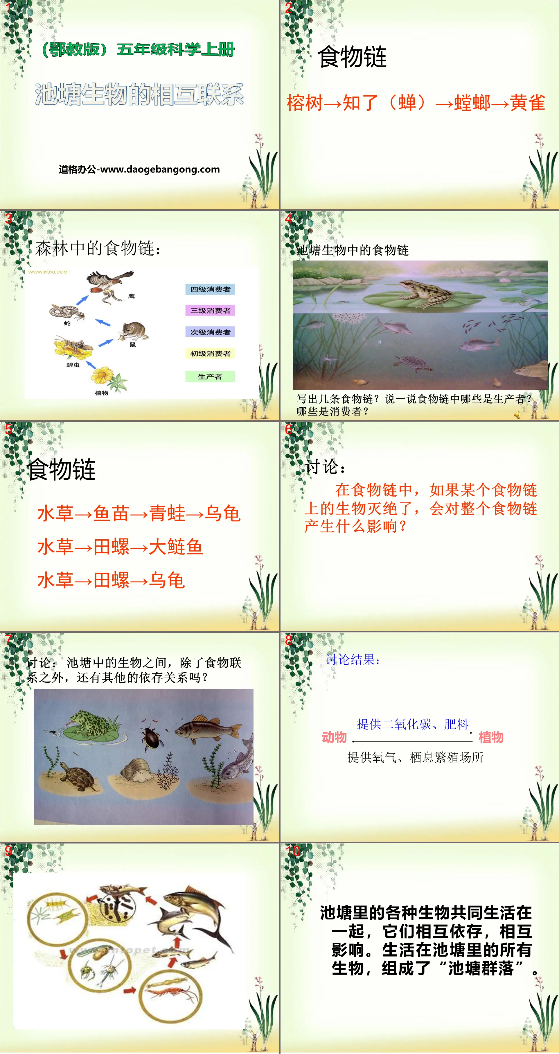 "Interconnection of Pond Organisms" Pond Community PPT Courseware