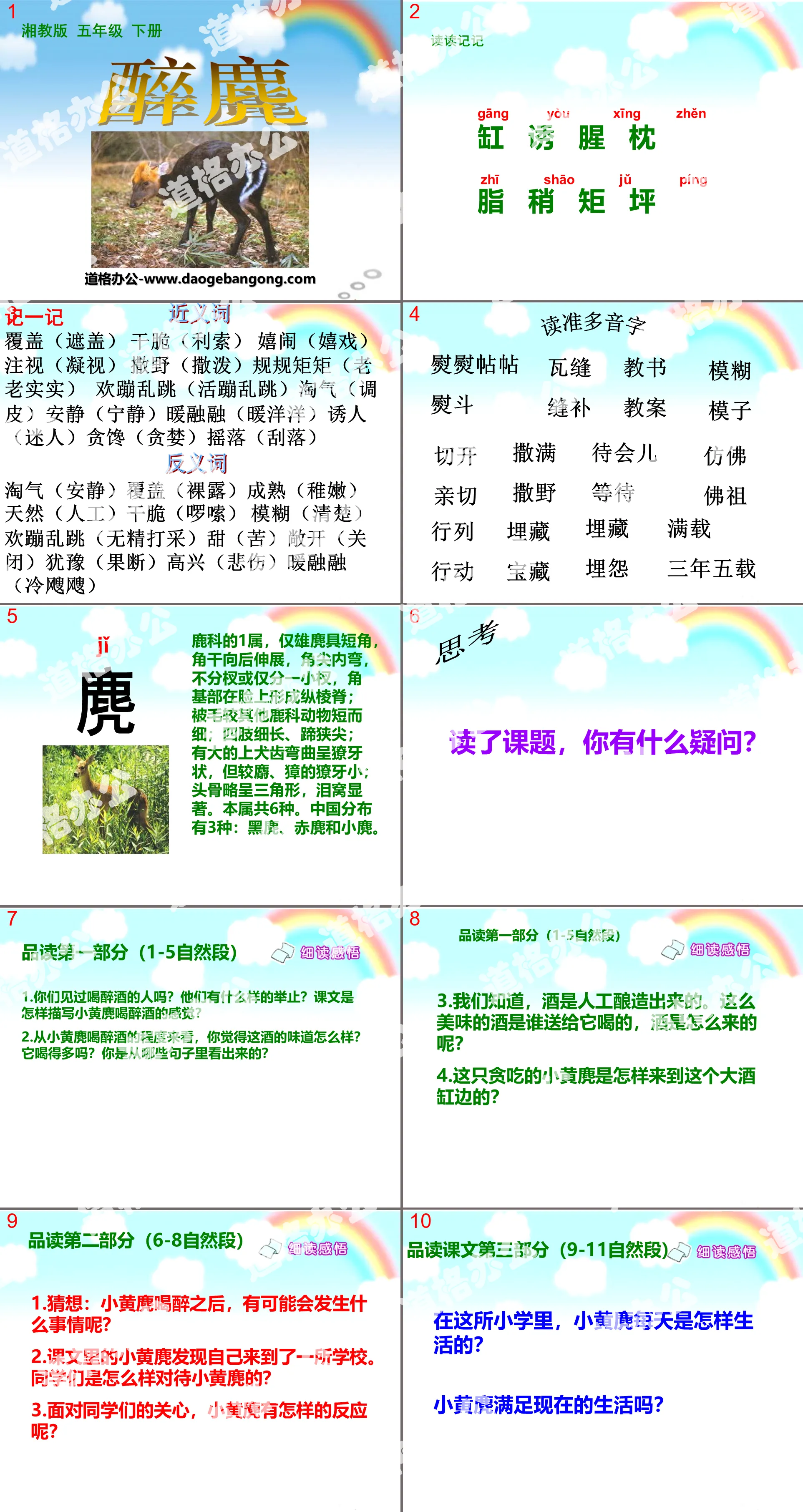 《醉麂》PPT课件2