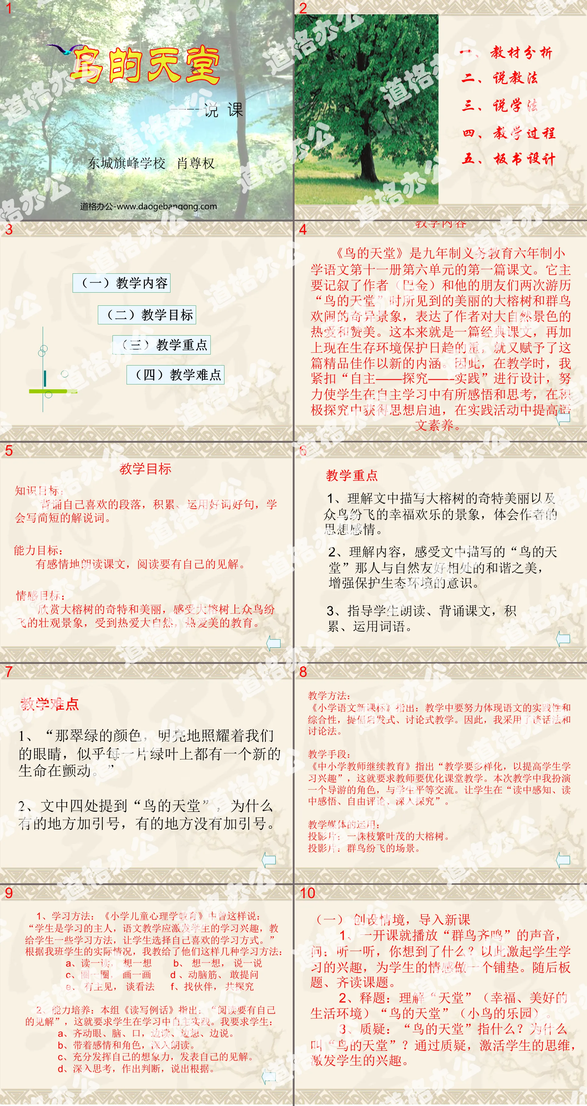 《鸟的天堂》PPT教学课件下载3