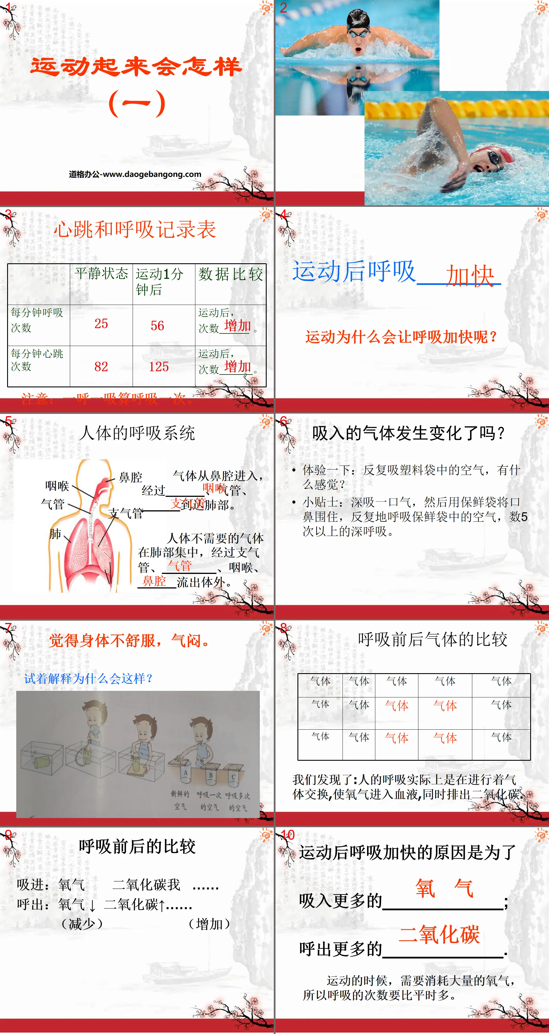 《运动起来会怎样(一)》我们的身体PPT课件4
