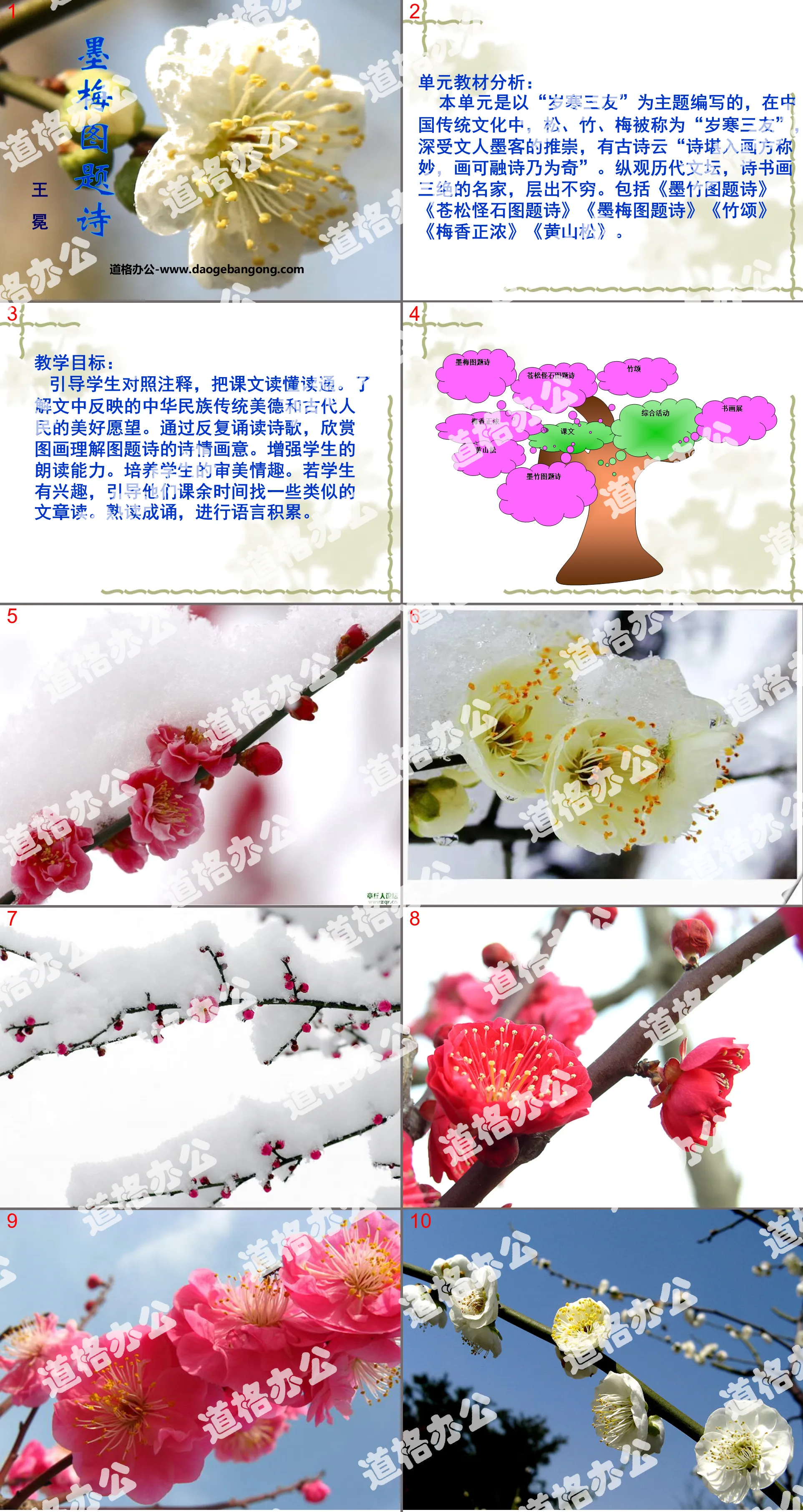 "Poetry on Plum Blossom Pictures" PPT courseware