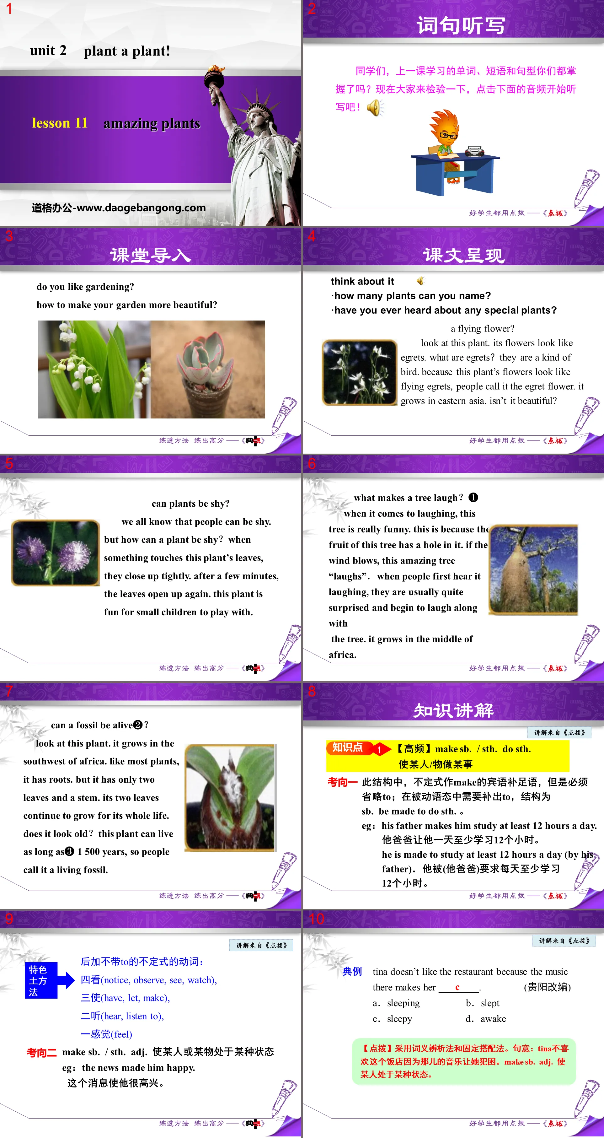 "Amazing Plants" Plant a Plant PPT teaching courseware