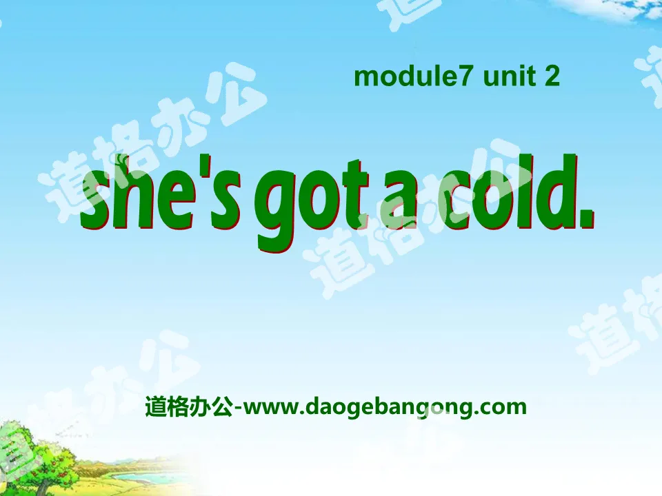 "She's got a cold" PPT courseware