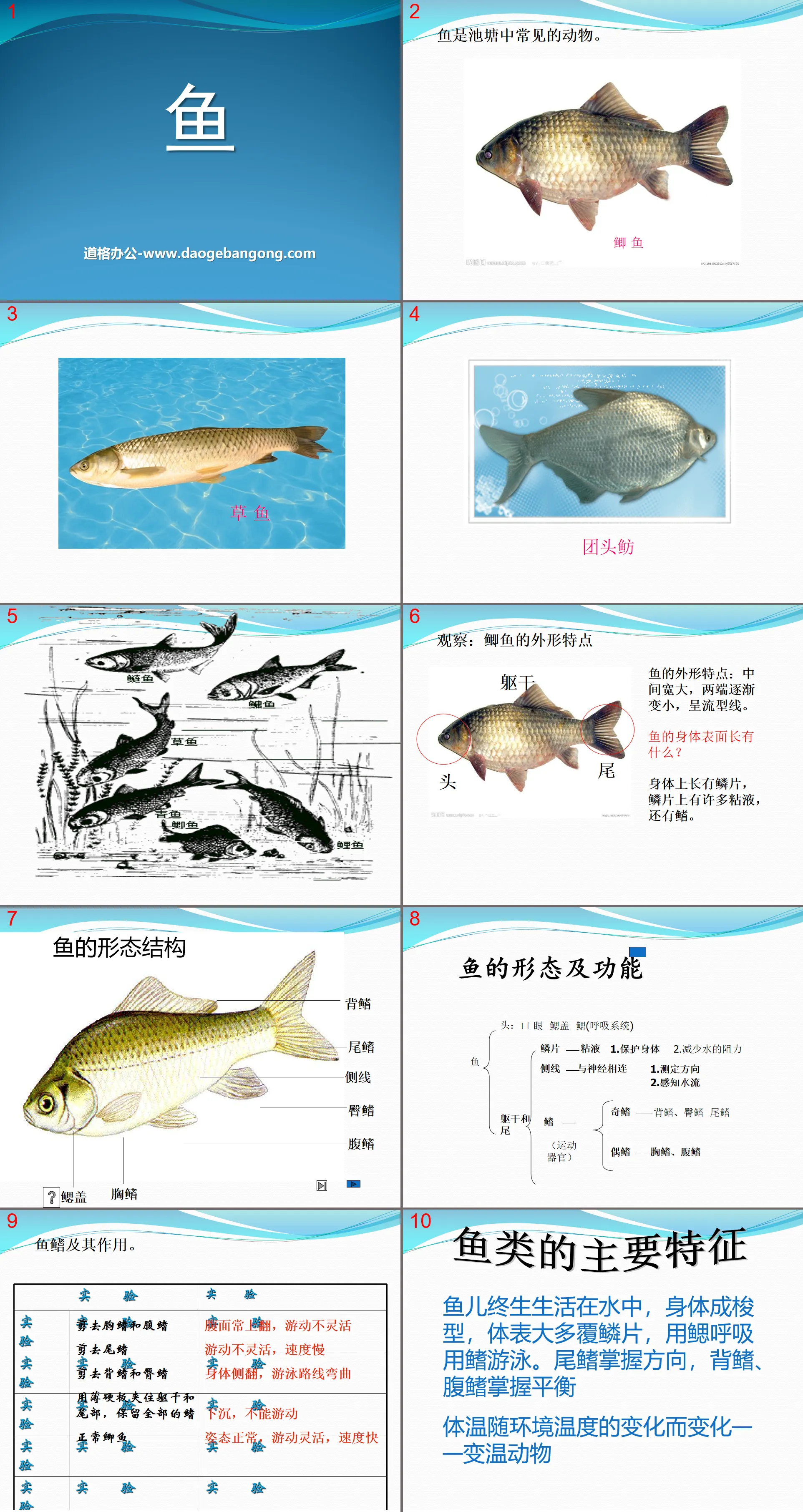 Didacticiel PPT communautaire de l'étang "Poissons" 2