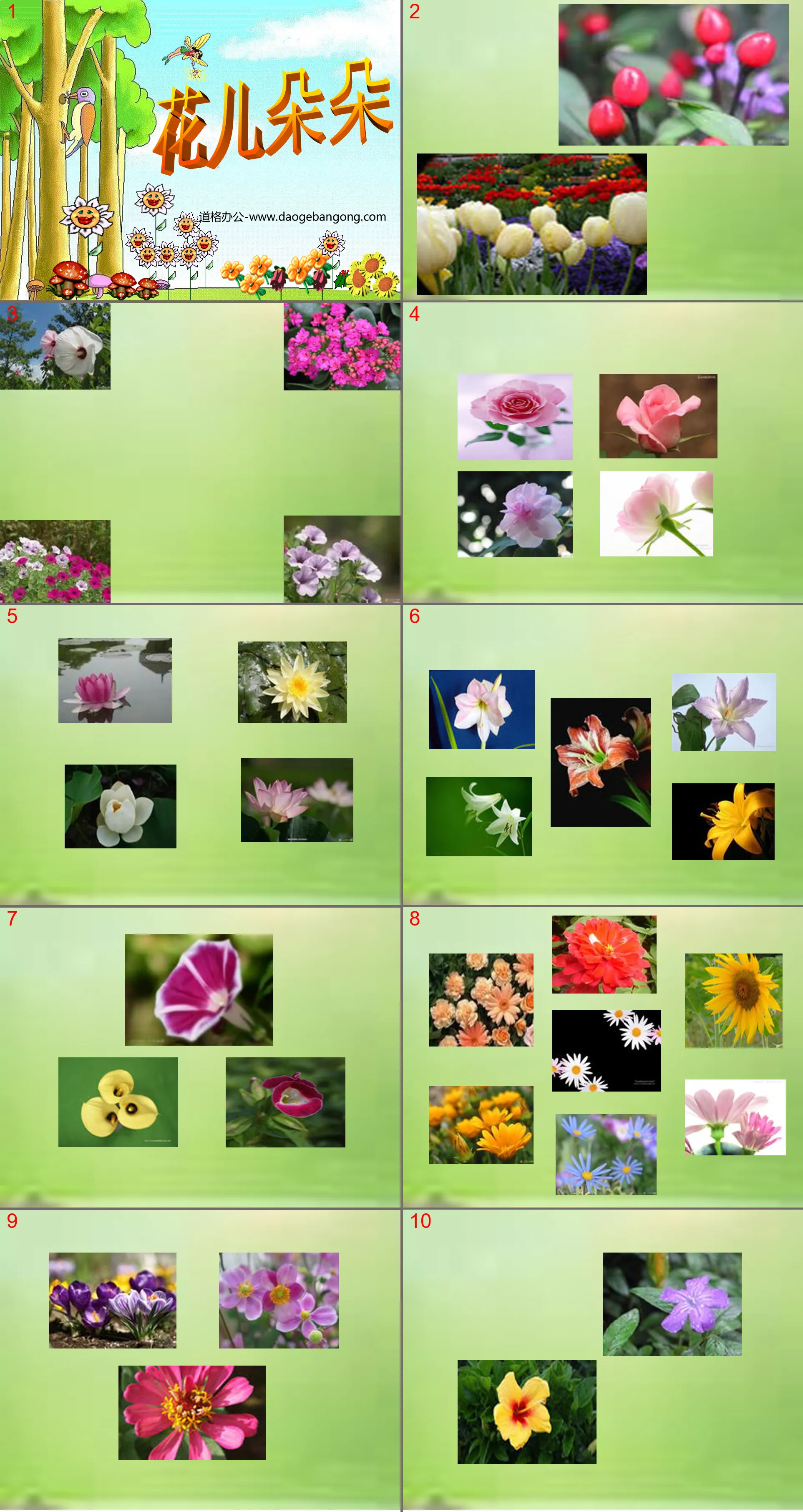 "Flowers Blossoming" PPT courseware